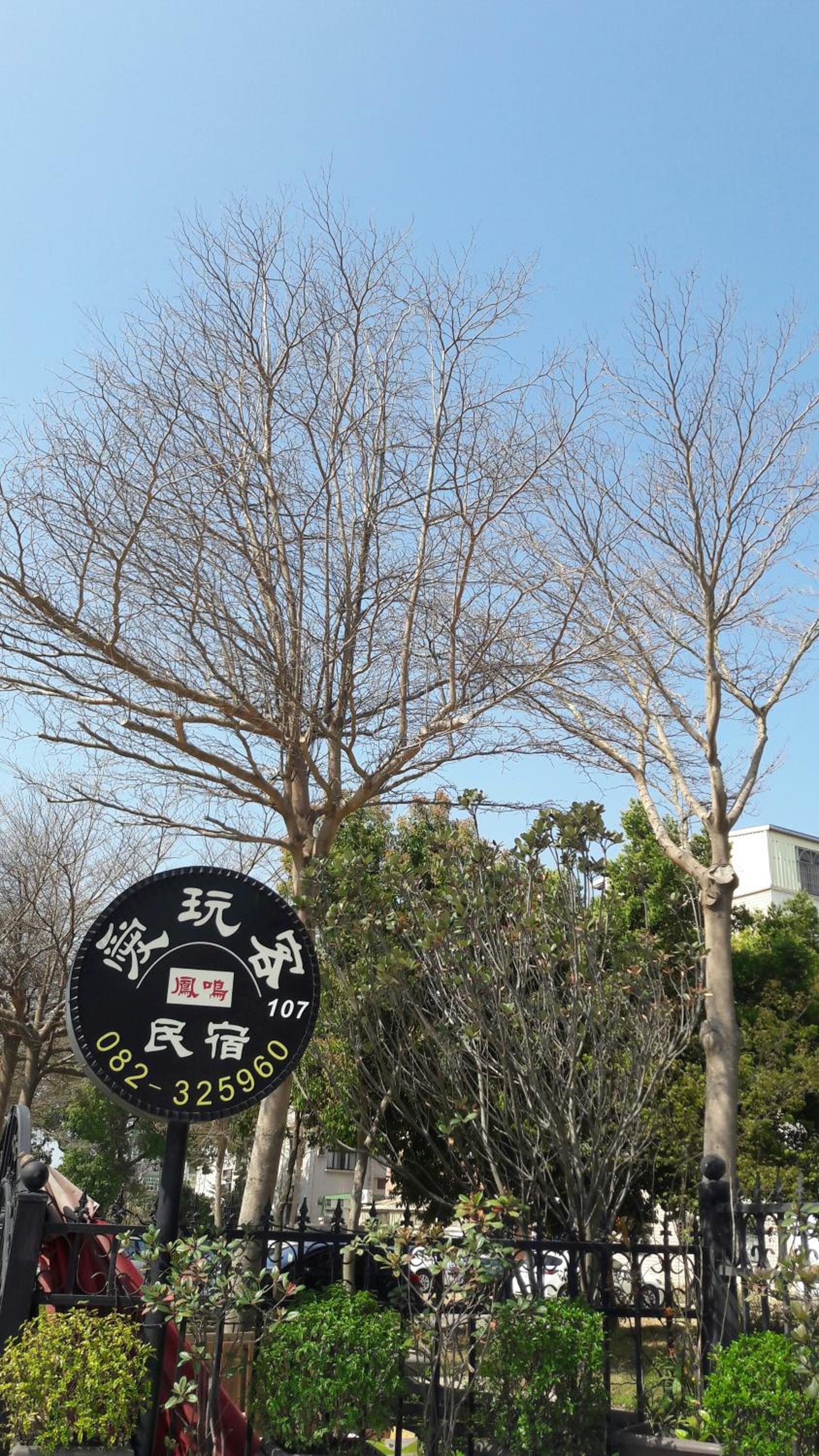 Fengming B&B view 3