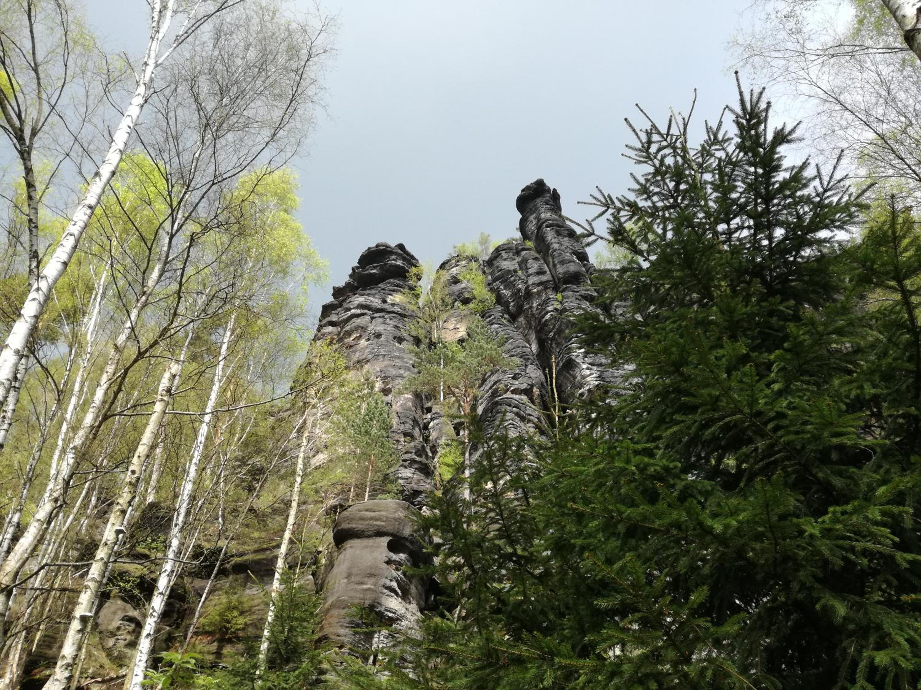 Dresden Vacations - Gartenhaus Klotzsche - Property Image 31