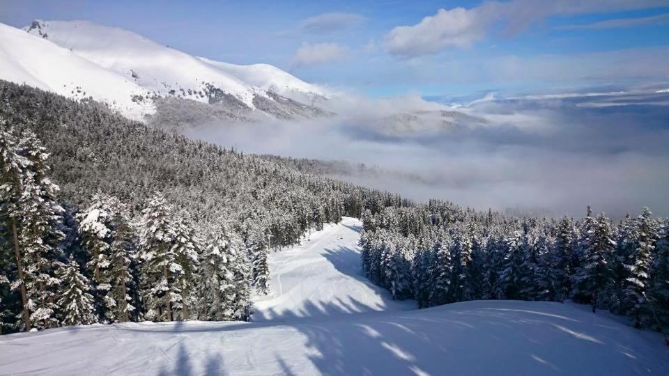 Bansko Vacations - Fortuna Luxury Apartment - Property Image 22
