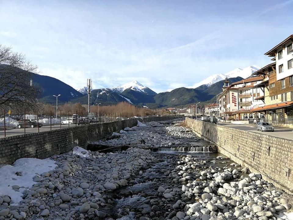 Bansko Vacations - Fortuna Luxury Apartment - Property Image 8