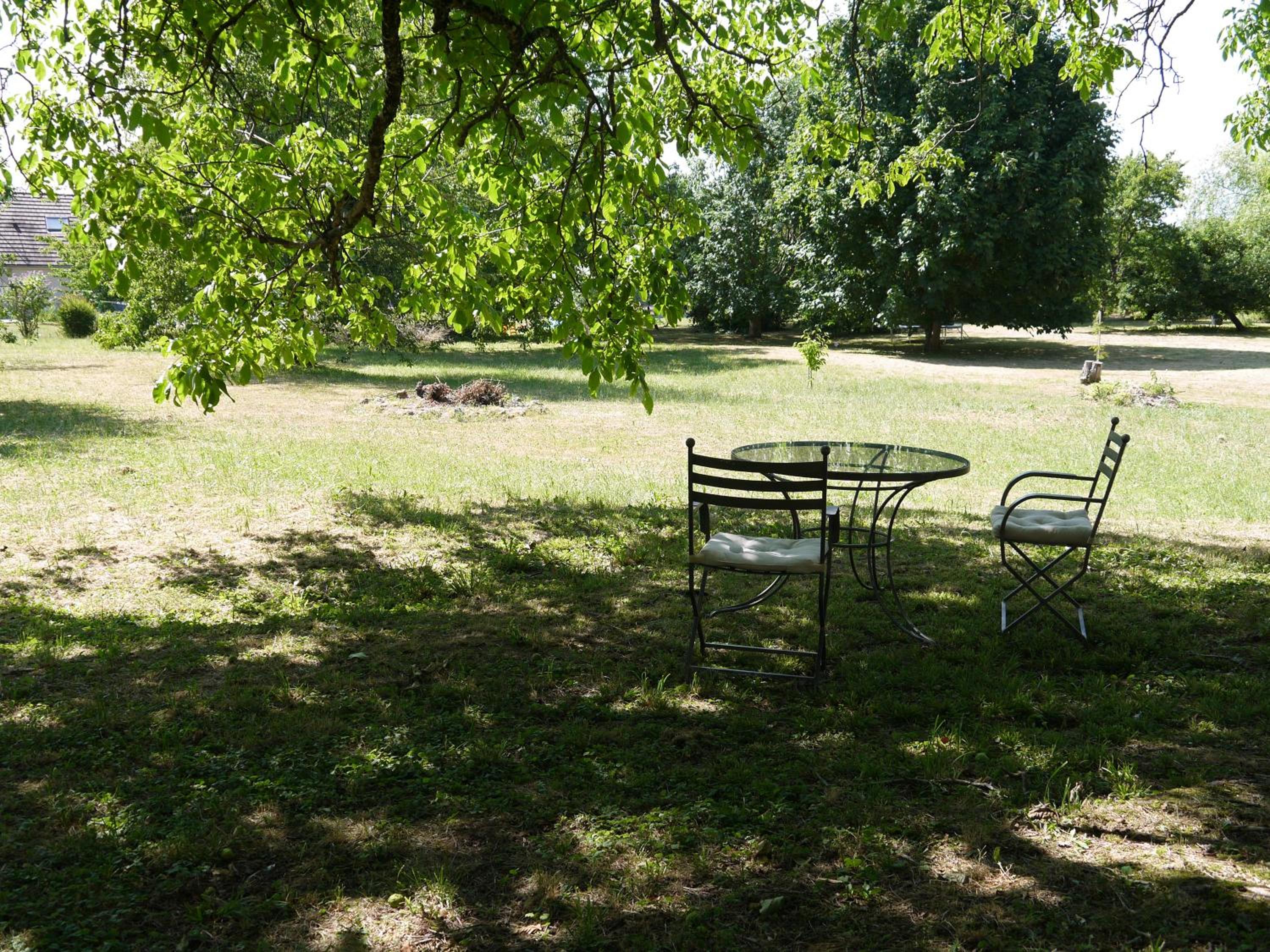 Photo 25
