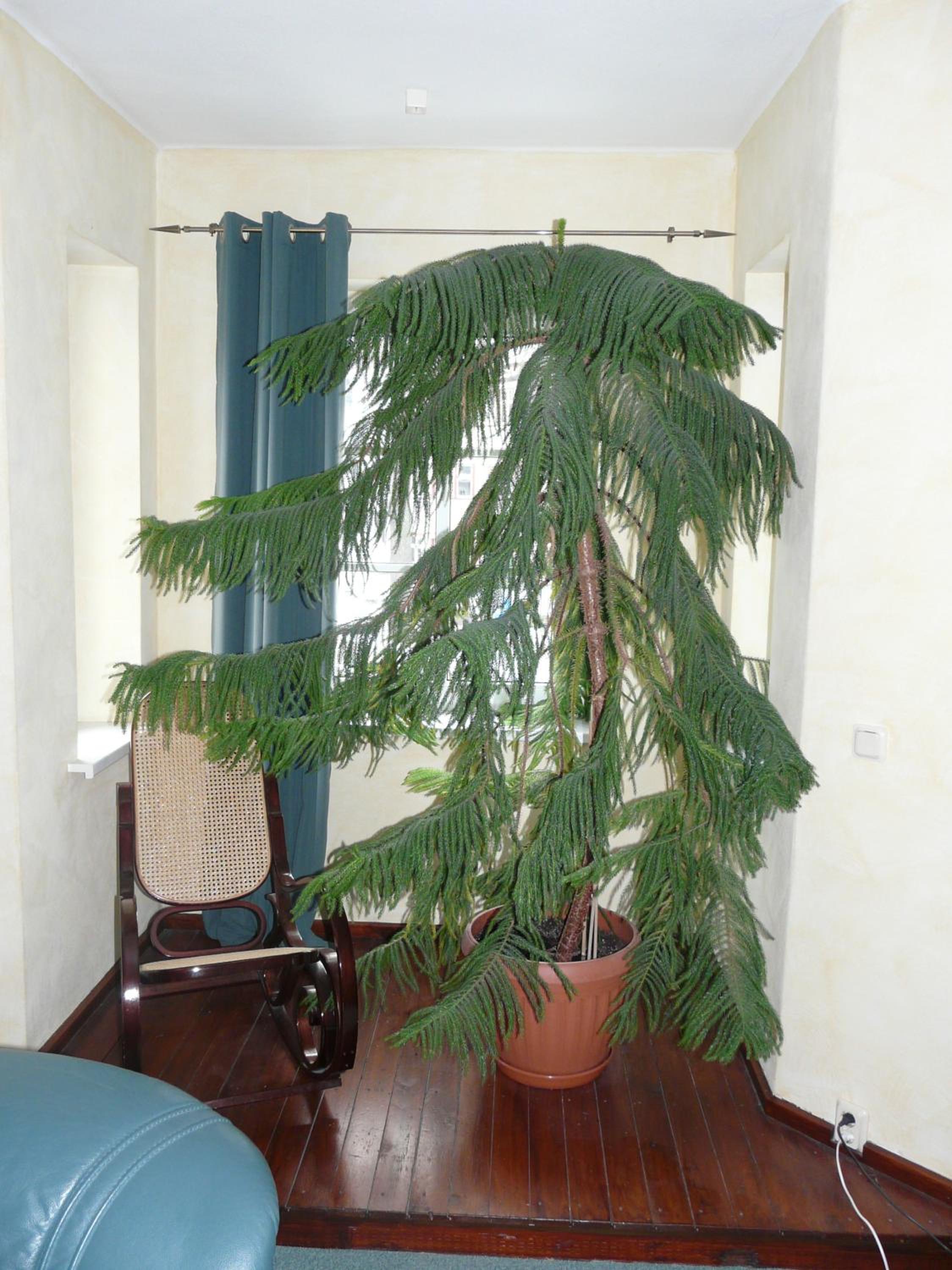 Pension Wegerich