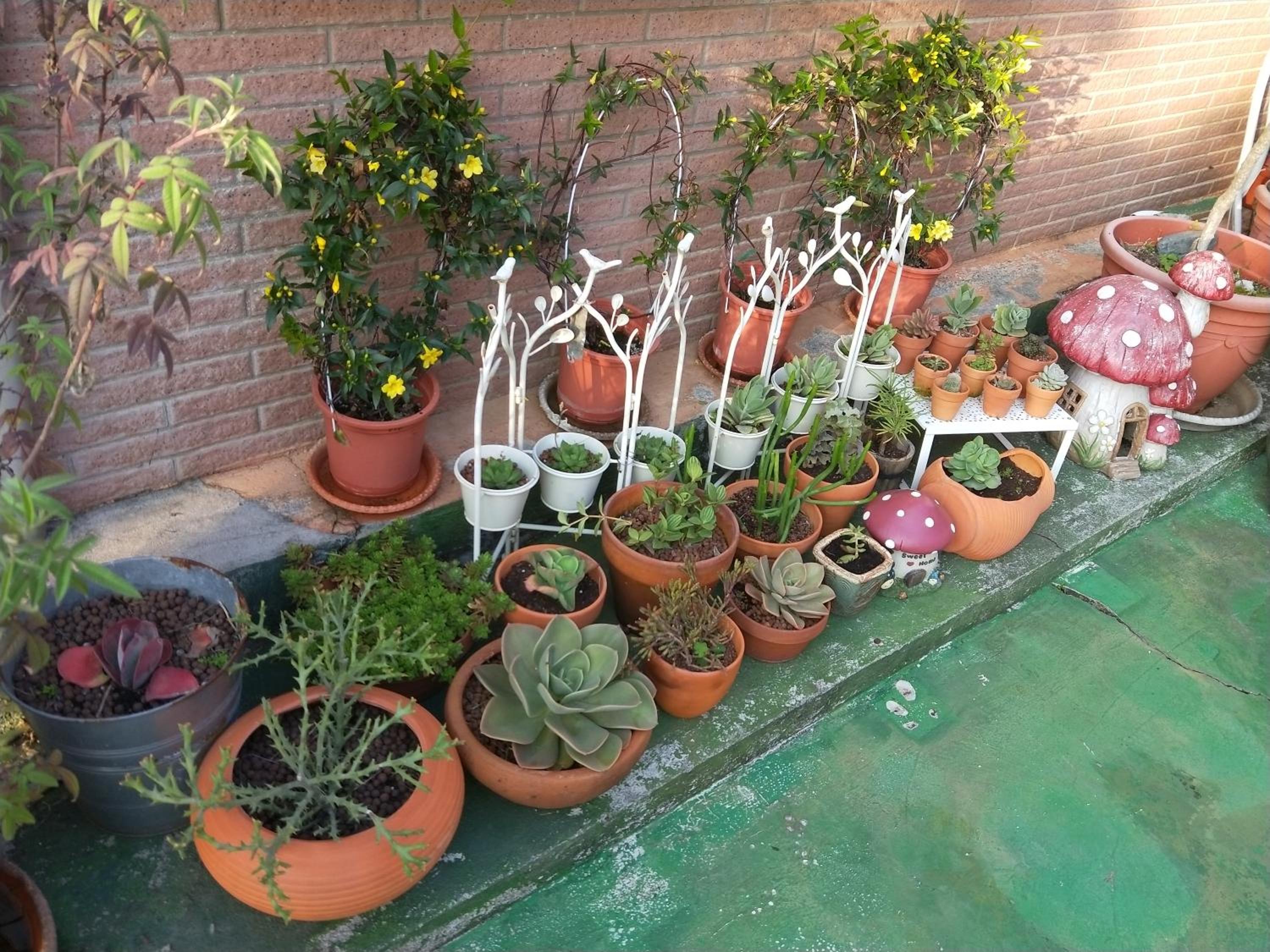 Taichung Xinshe Garden Life Homestay B&B