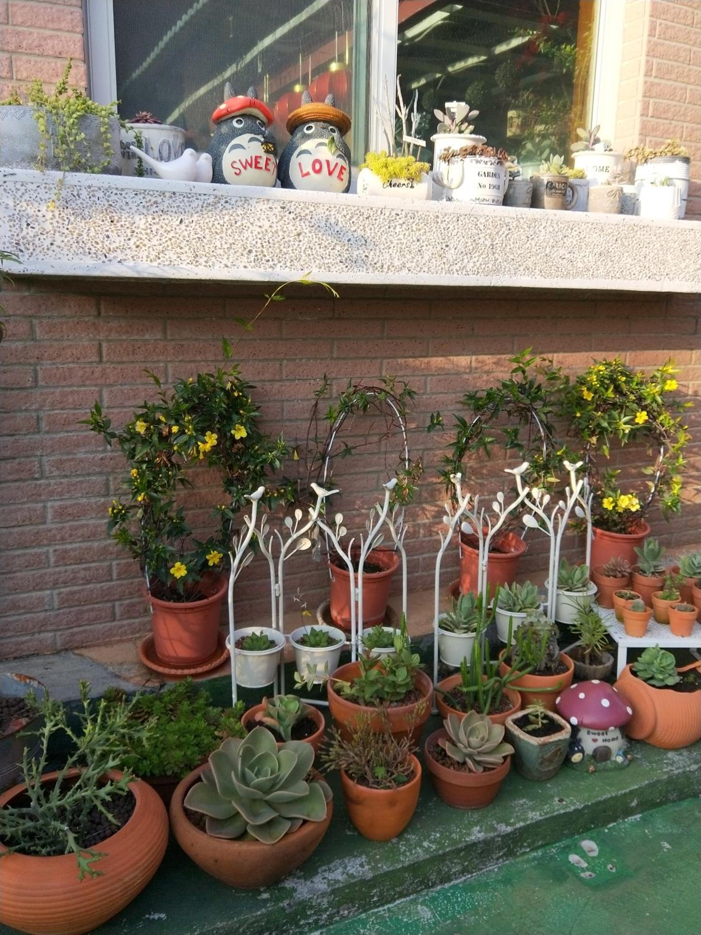 Taichung Xinshe Garden Life Homestay B&B