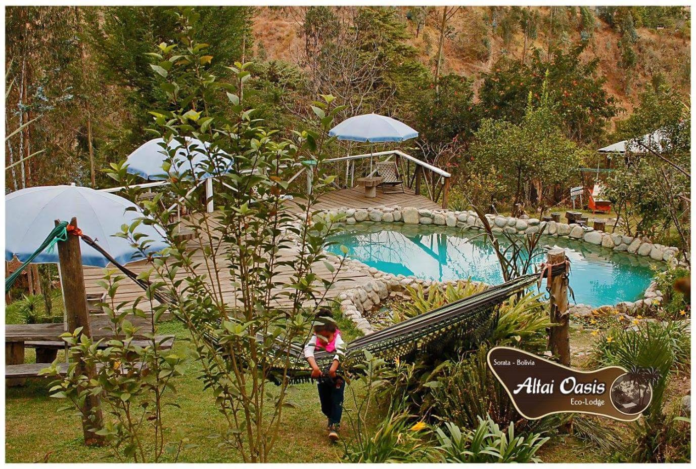 Altai Oasis Lodge
