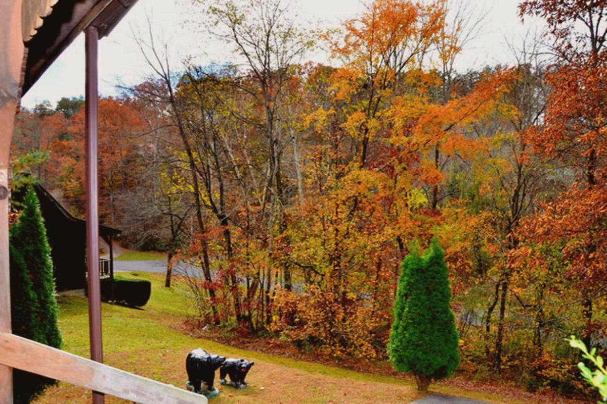 Hartman House view 2