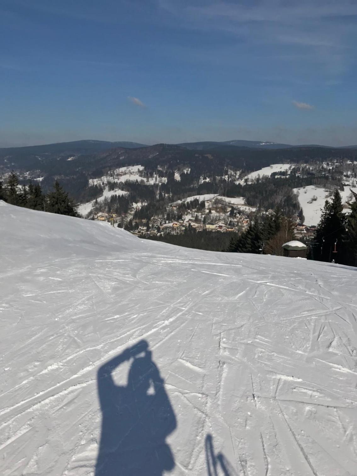 Sun & Snow Hollyhome