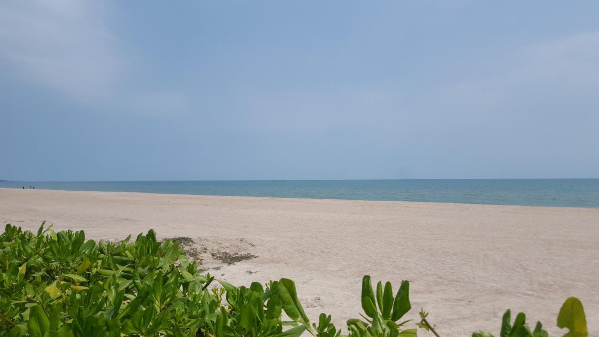 Photo 44