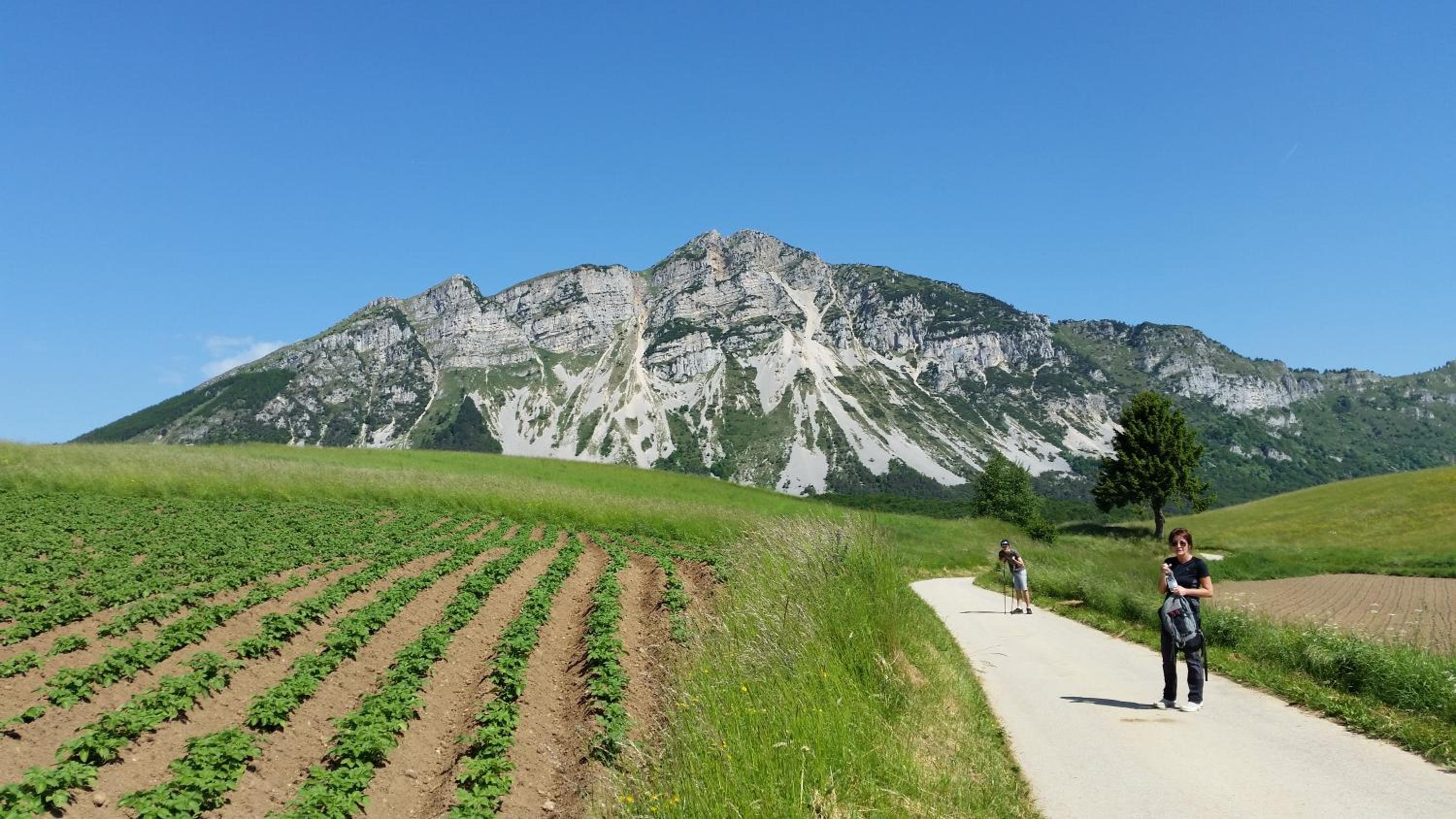Photo 44