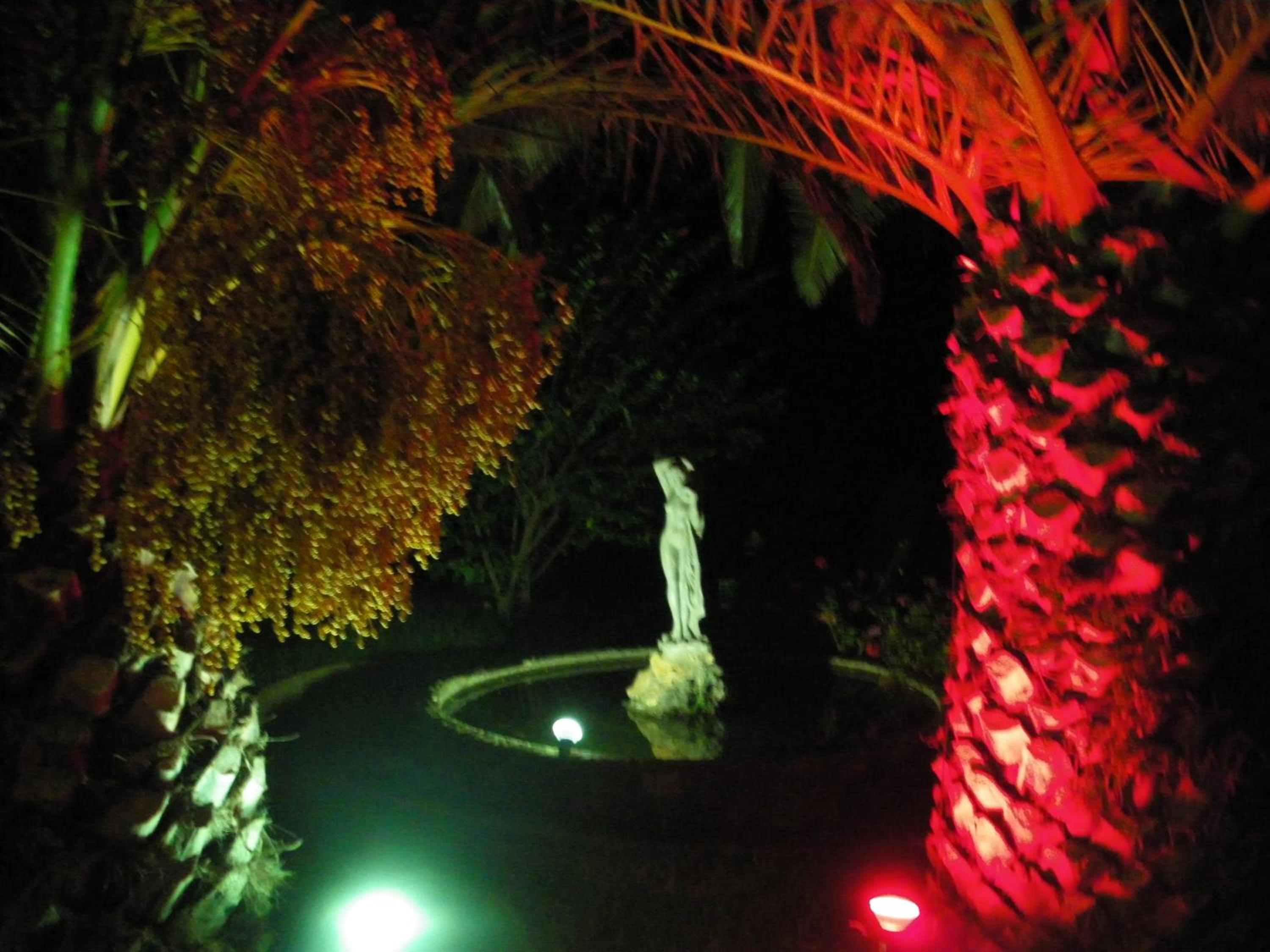 Photo 34