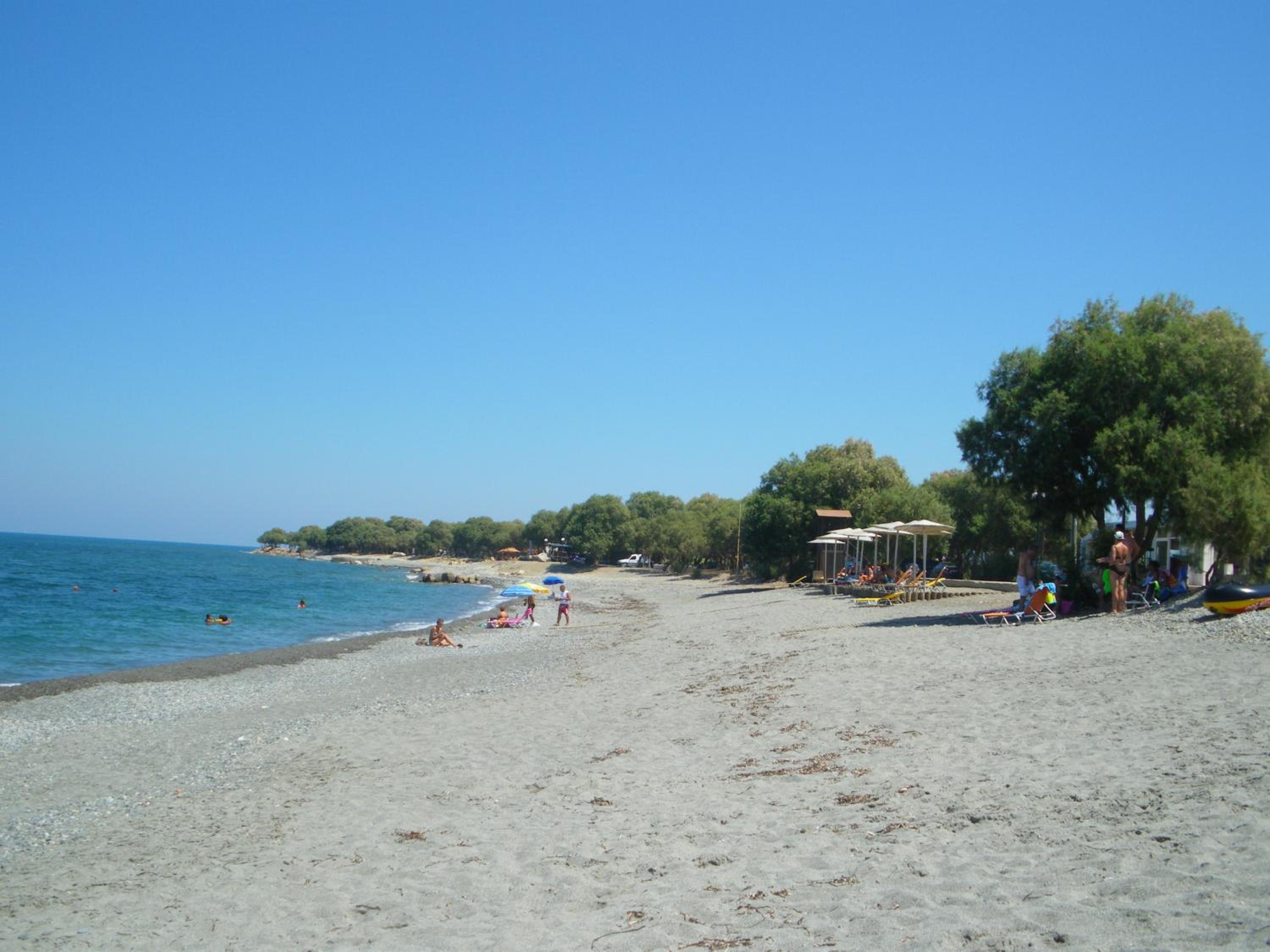 Photo 46