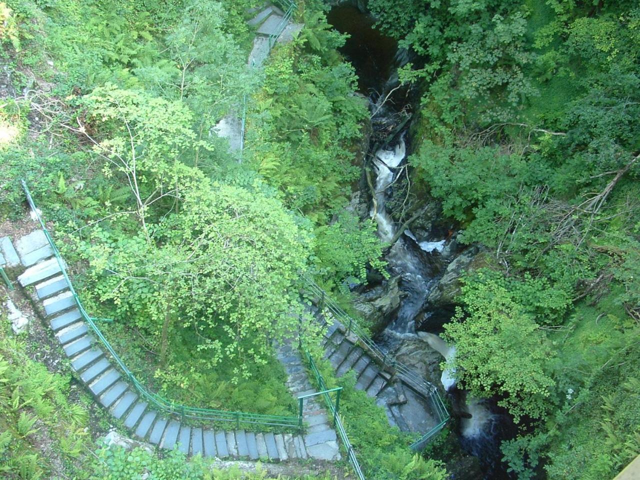 Photo 42
