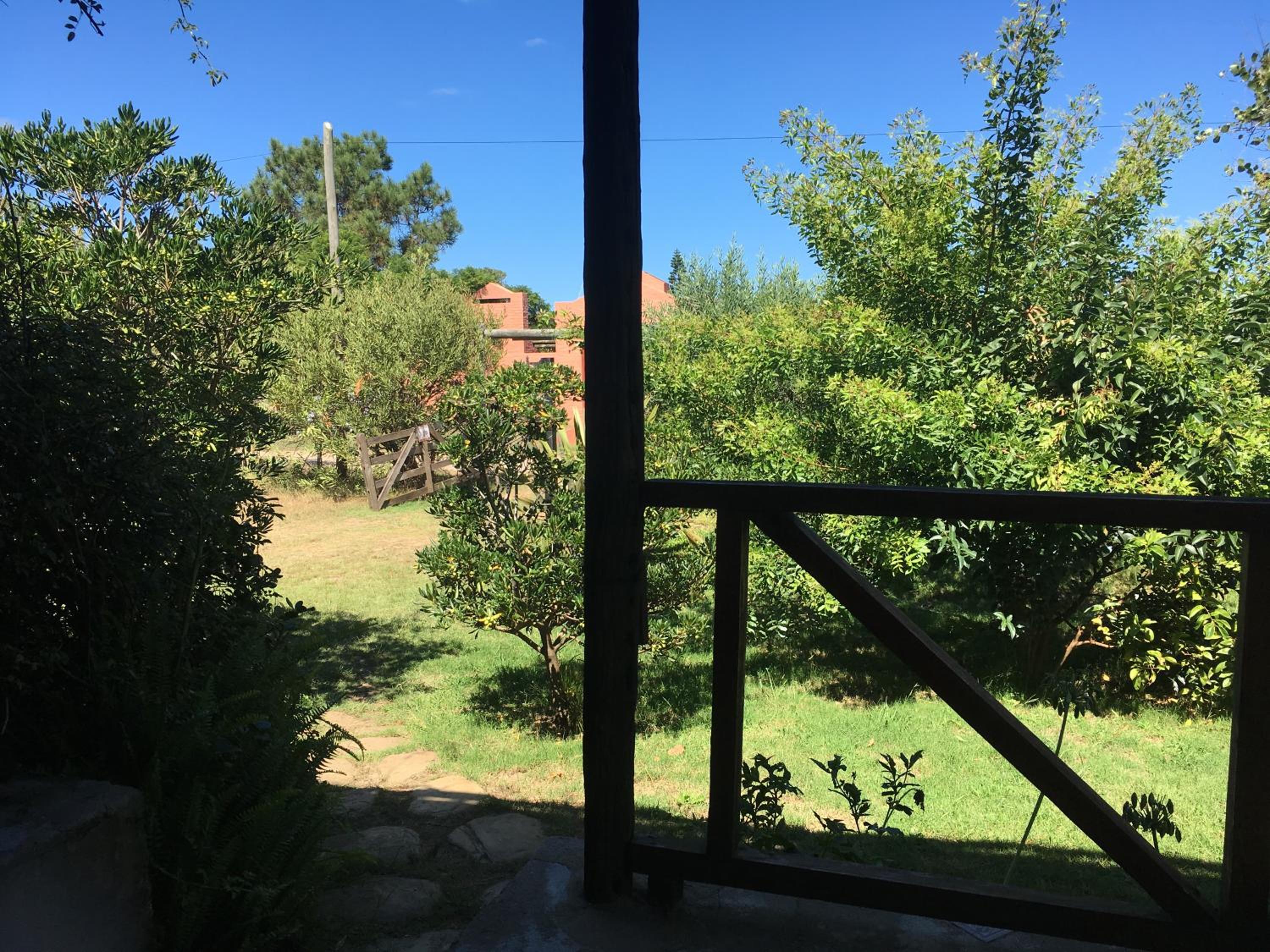 Photo 16