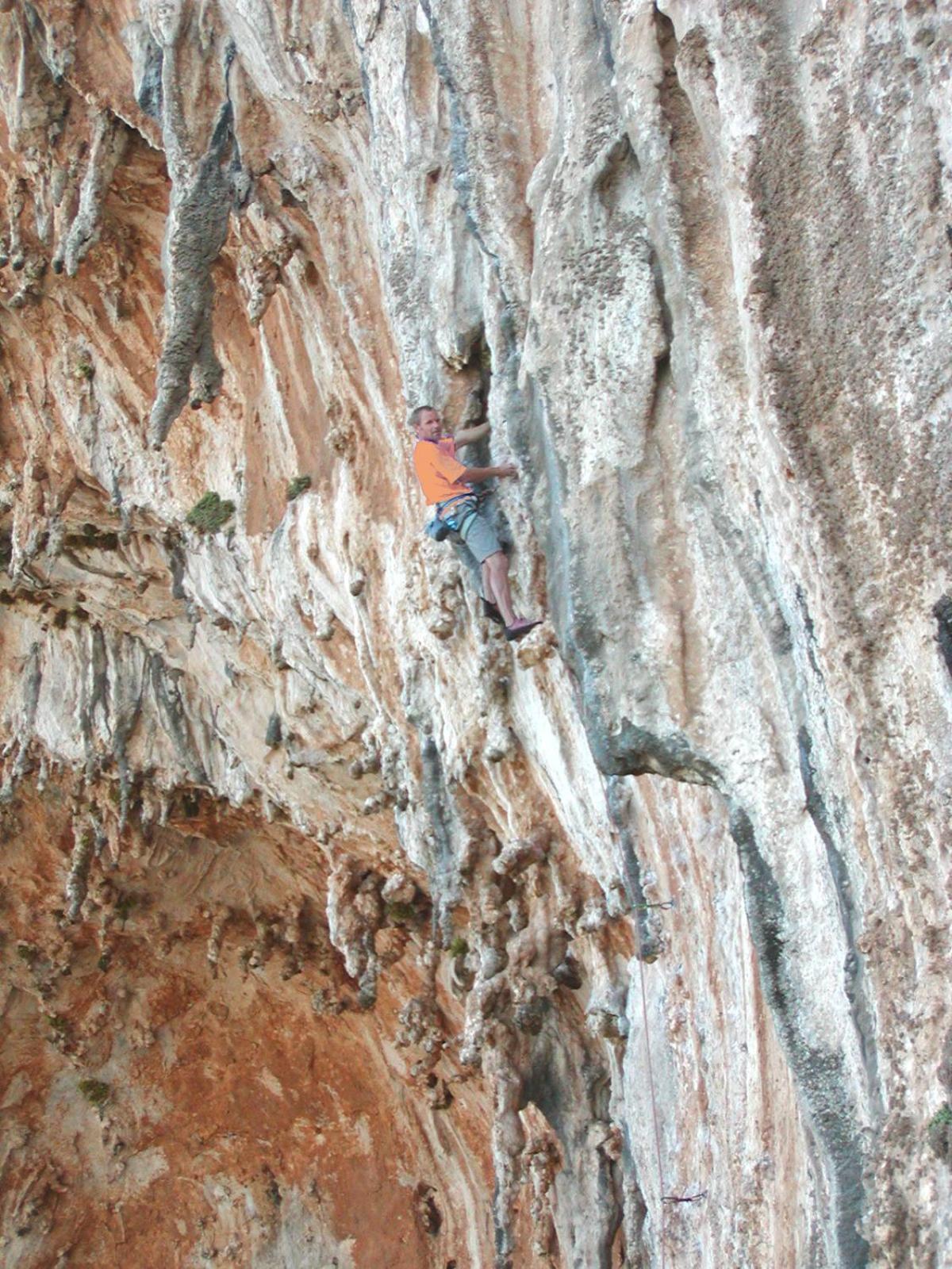 Photo 45