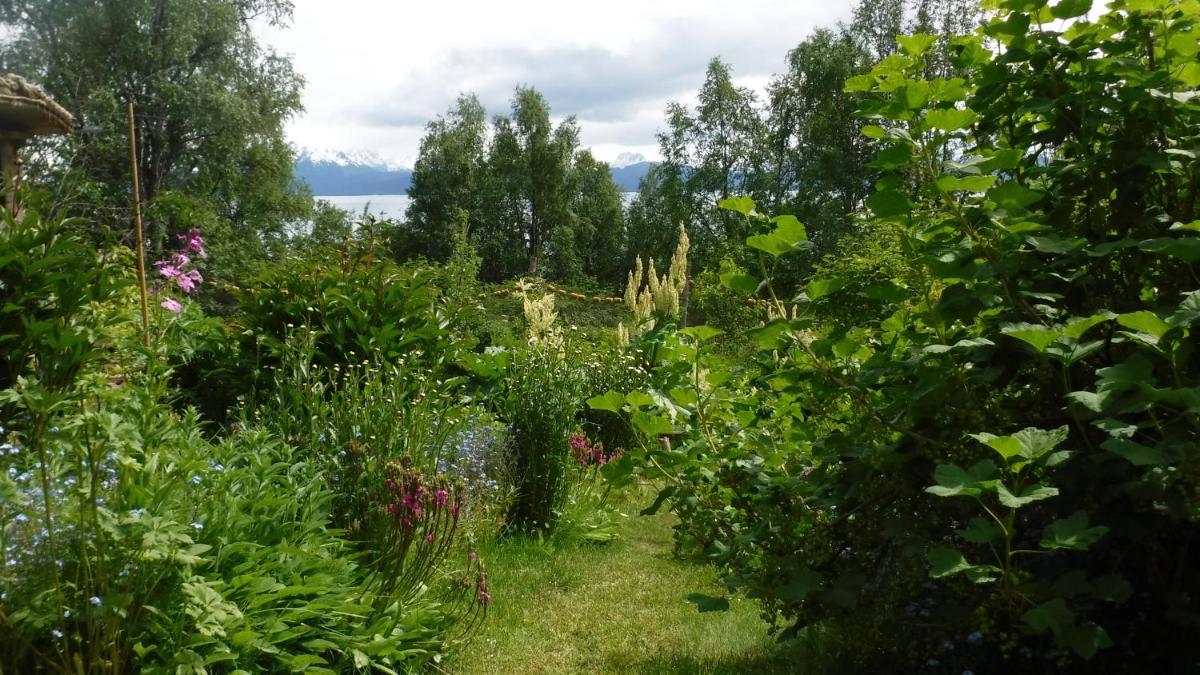 Homer Vacations - Brigitte's Bavarian Bed und Breakfast - Property Image 11
