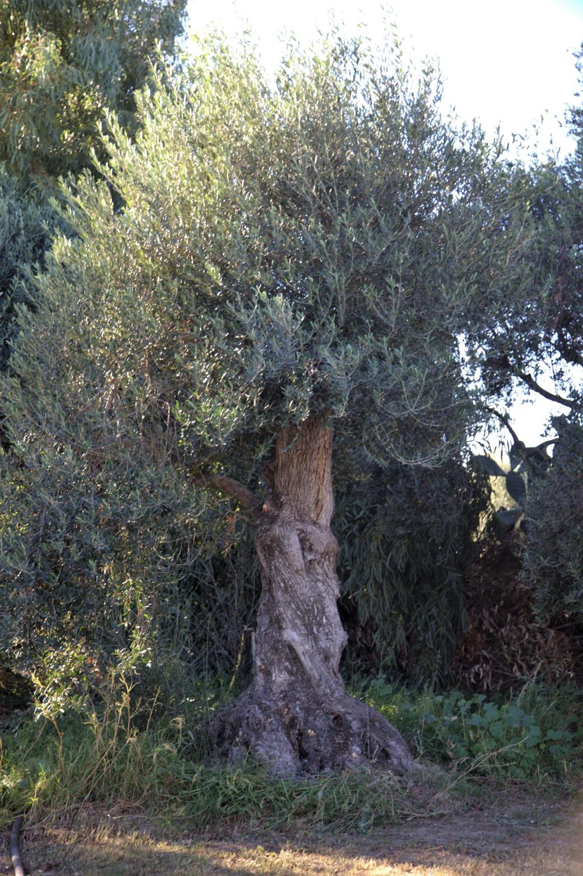 Photo 47