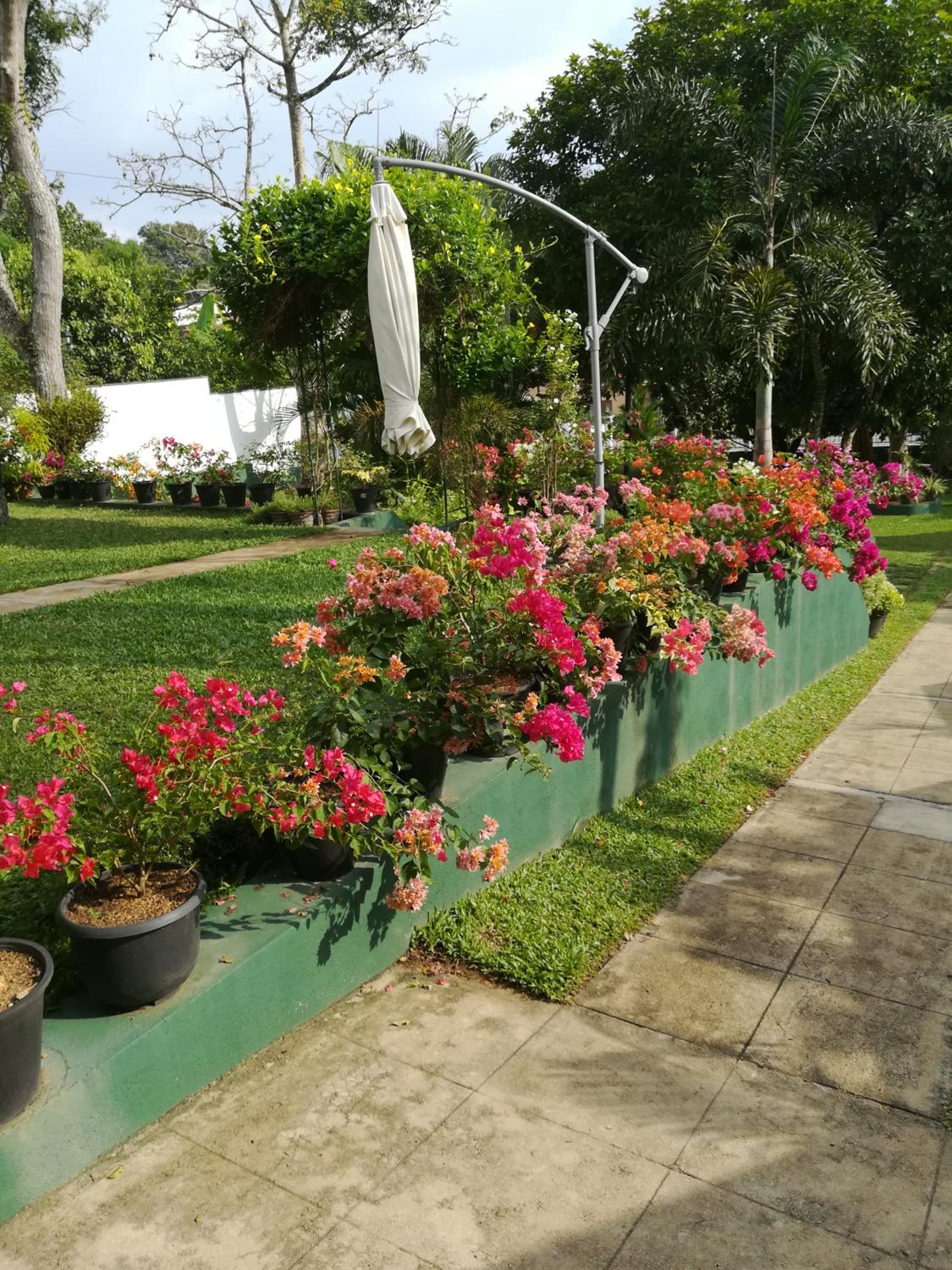 Samanala Garden Holiday Home — photo 4