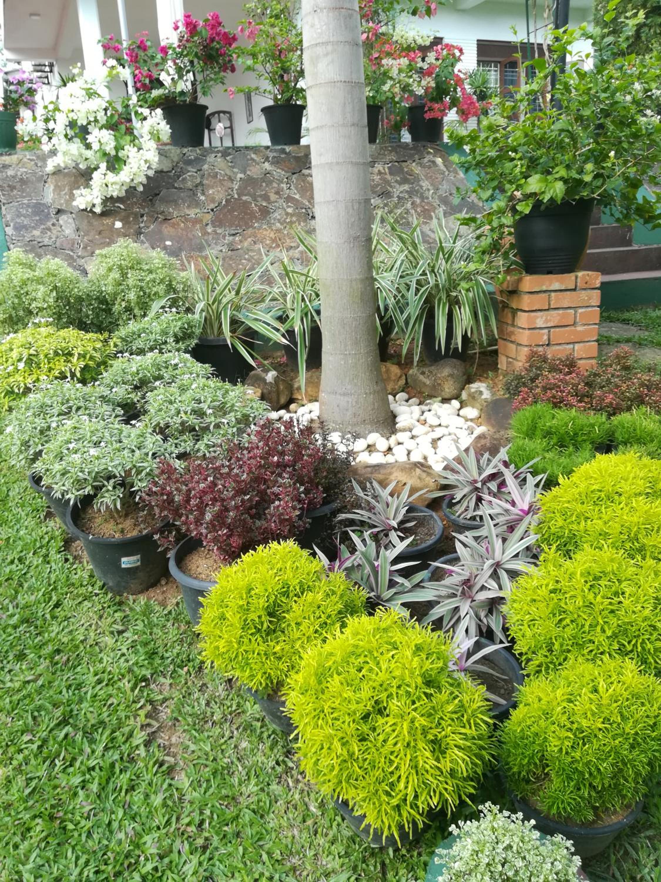 Samanala Garden Holiday Home — photo 3