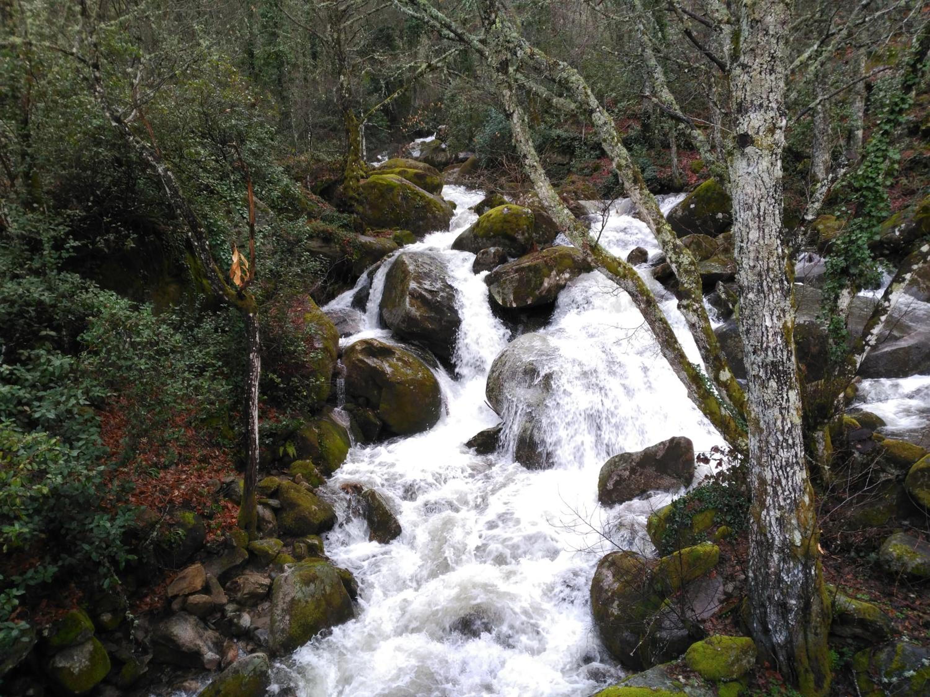 Photo 31