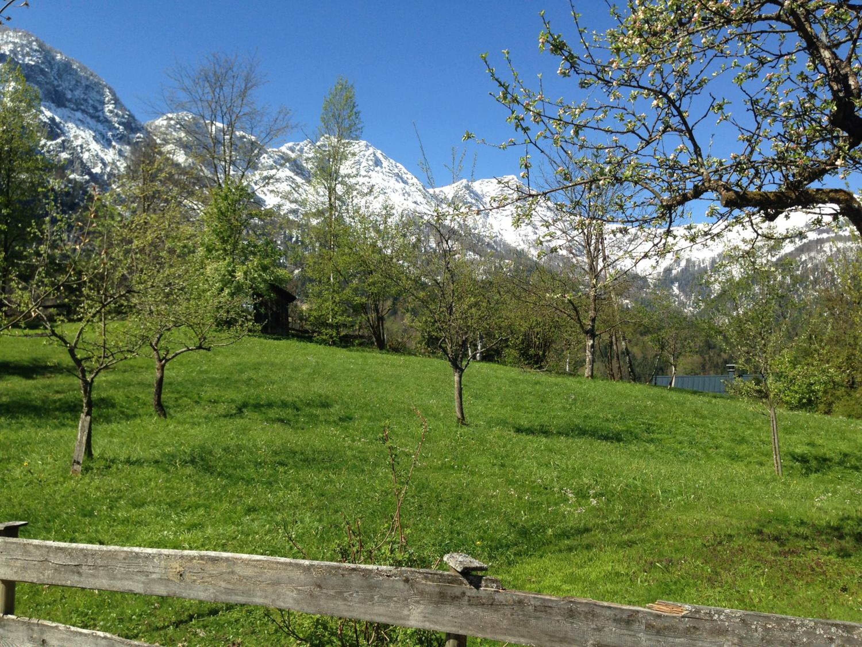 Chalet Ramsau 8