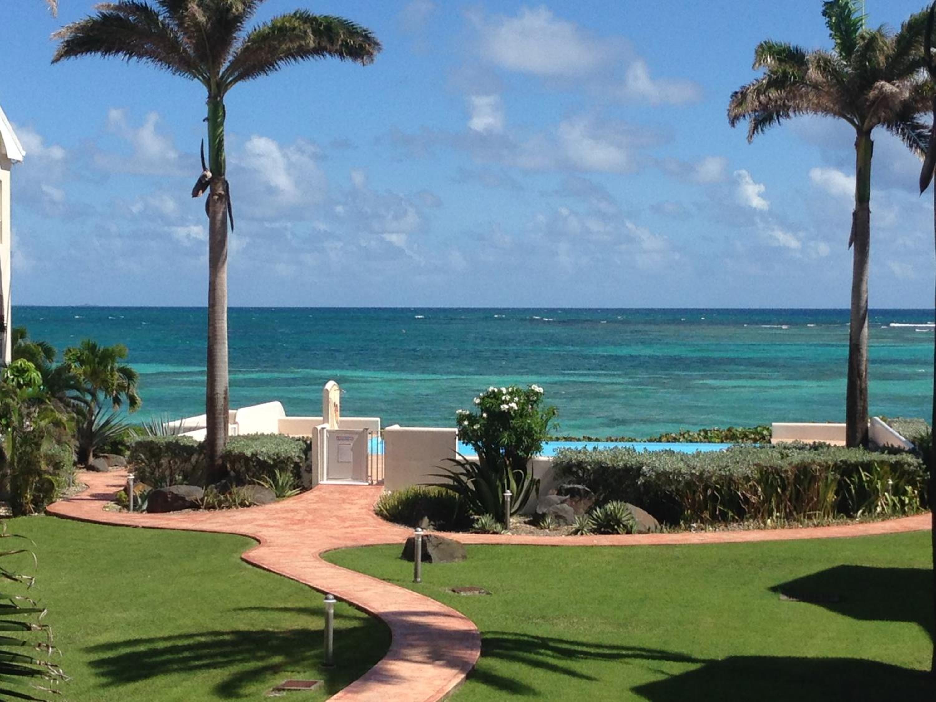 Eden Blue view 5