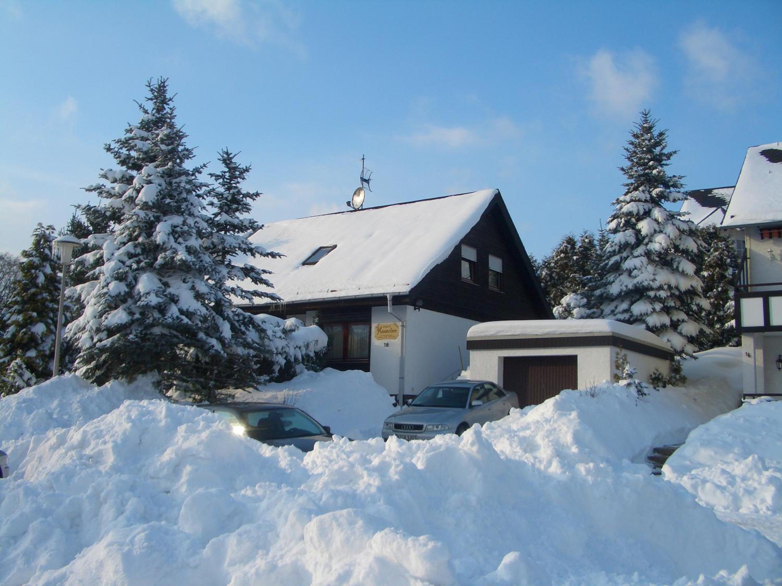 Haus Hannelore en Willingen