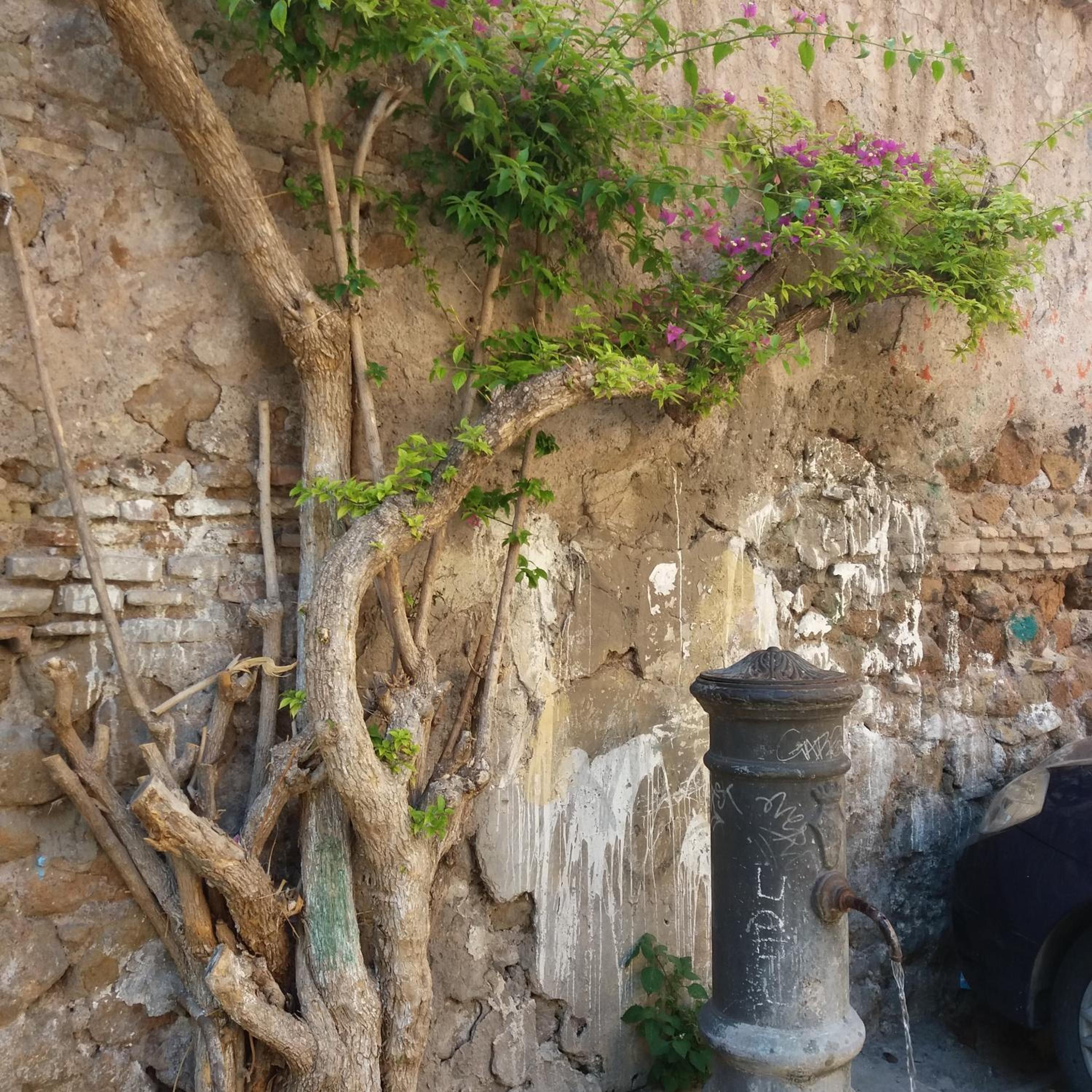 B&B Ventisei Scalini A Trastevere
