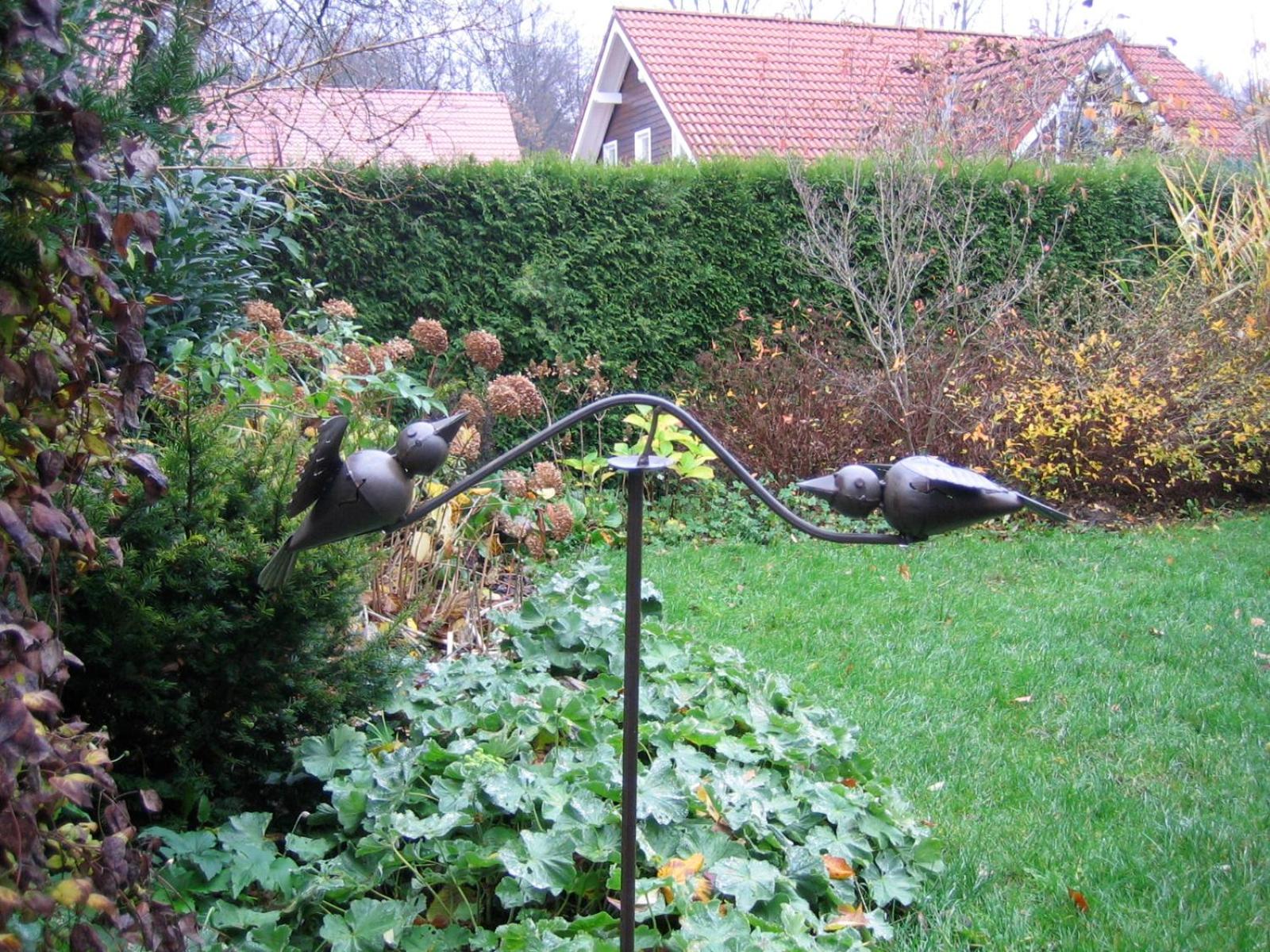 Photo 7