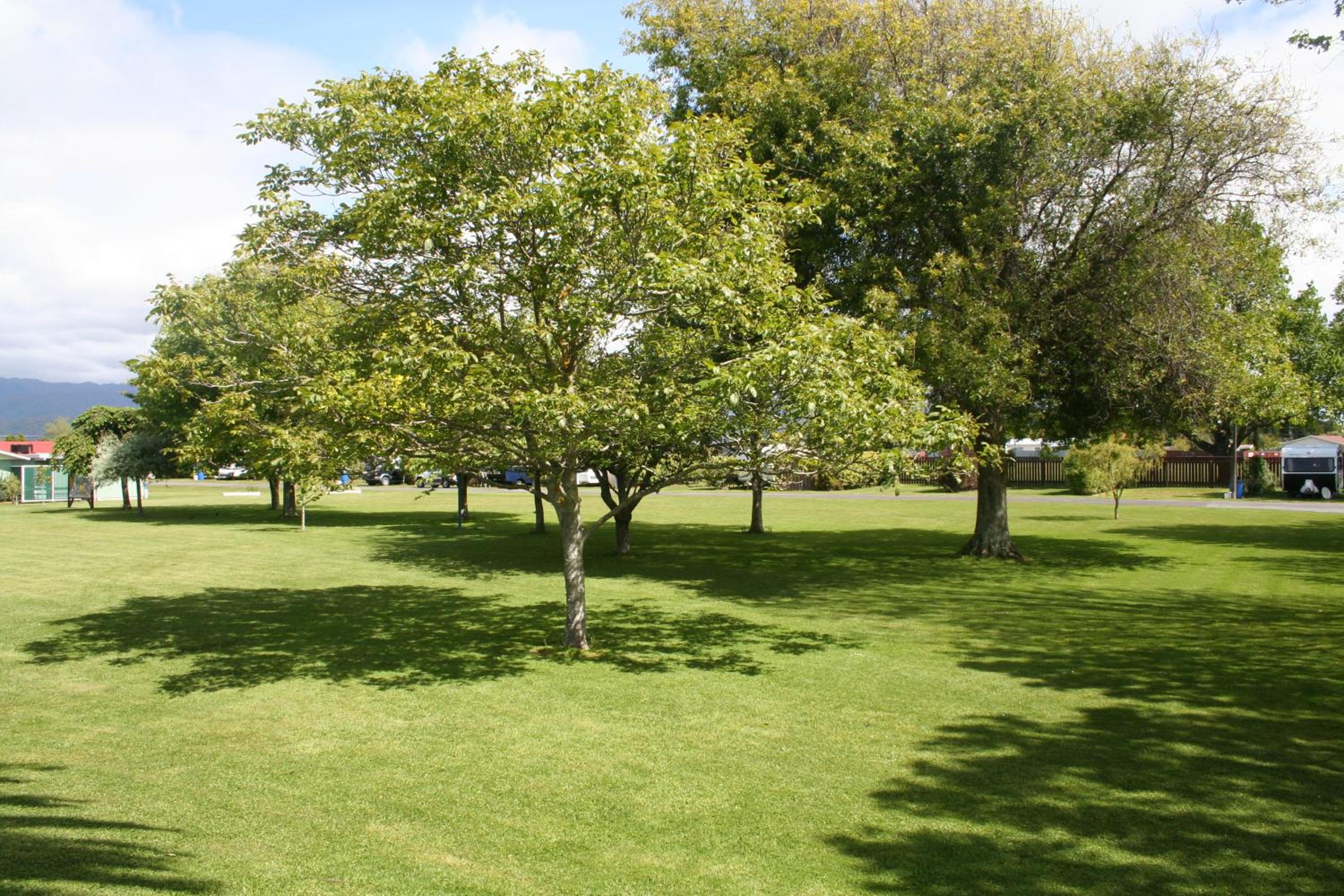 Levin TOP 10 Holiday Park, photo 56