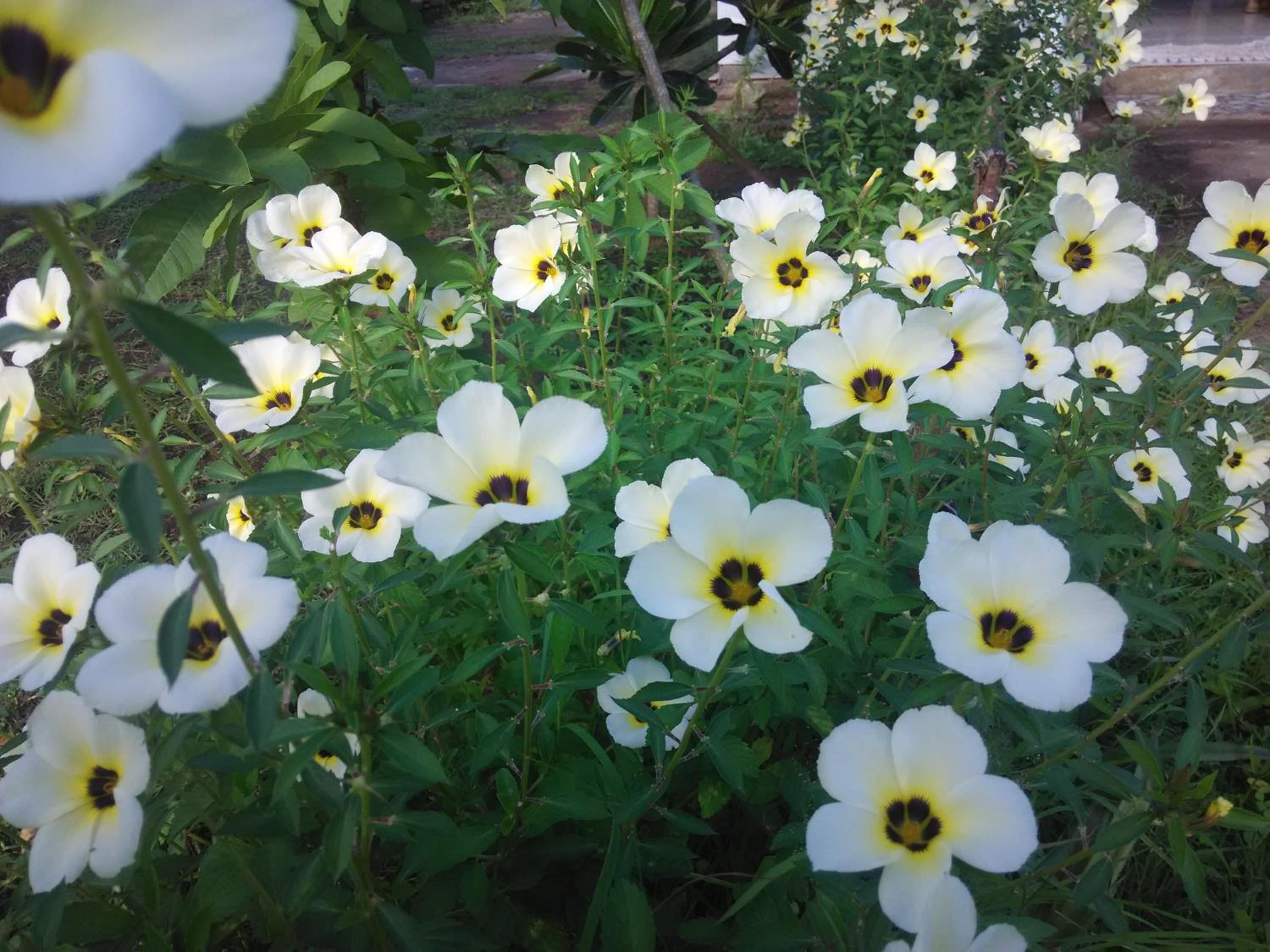 Photo 47