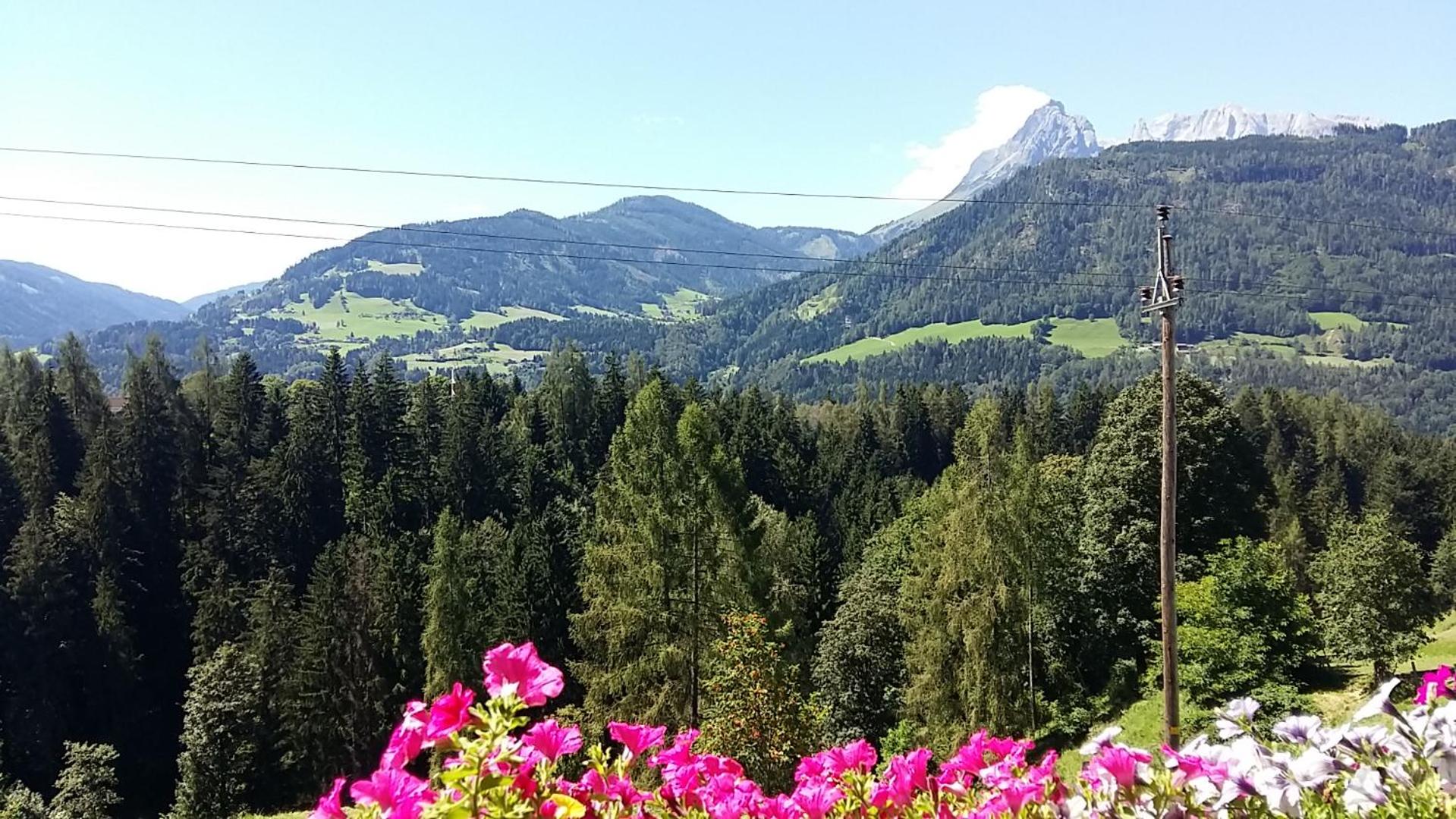 Ferienwohnungen Wimmer
