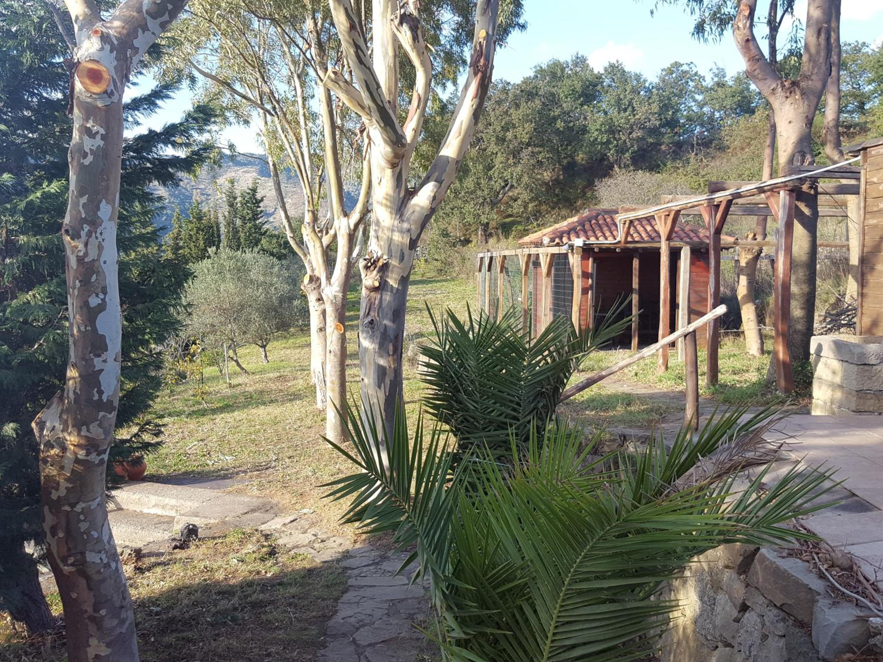 Photo 13