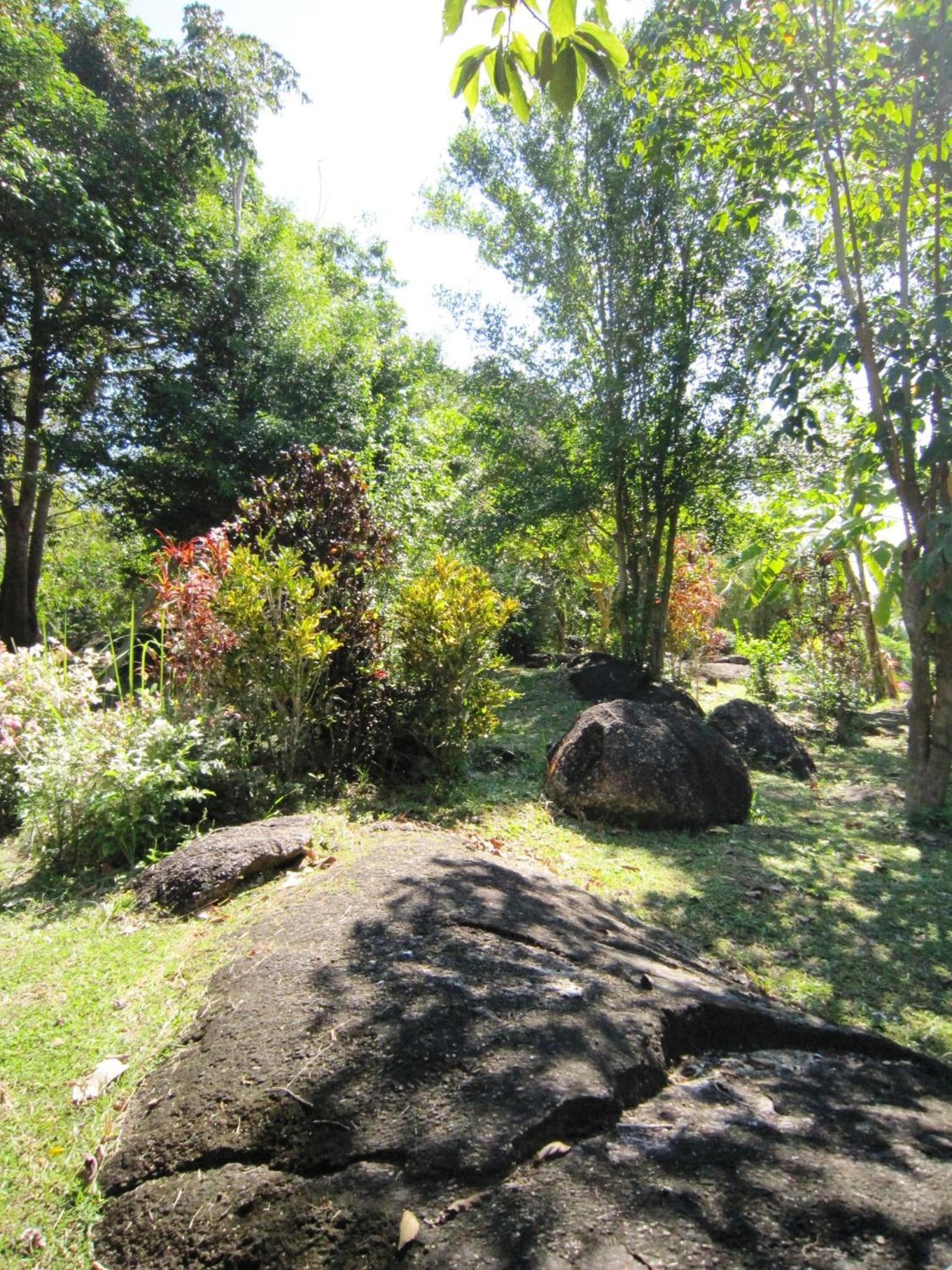 Phanom Bencha Mountain Resort