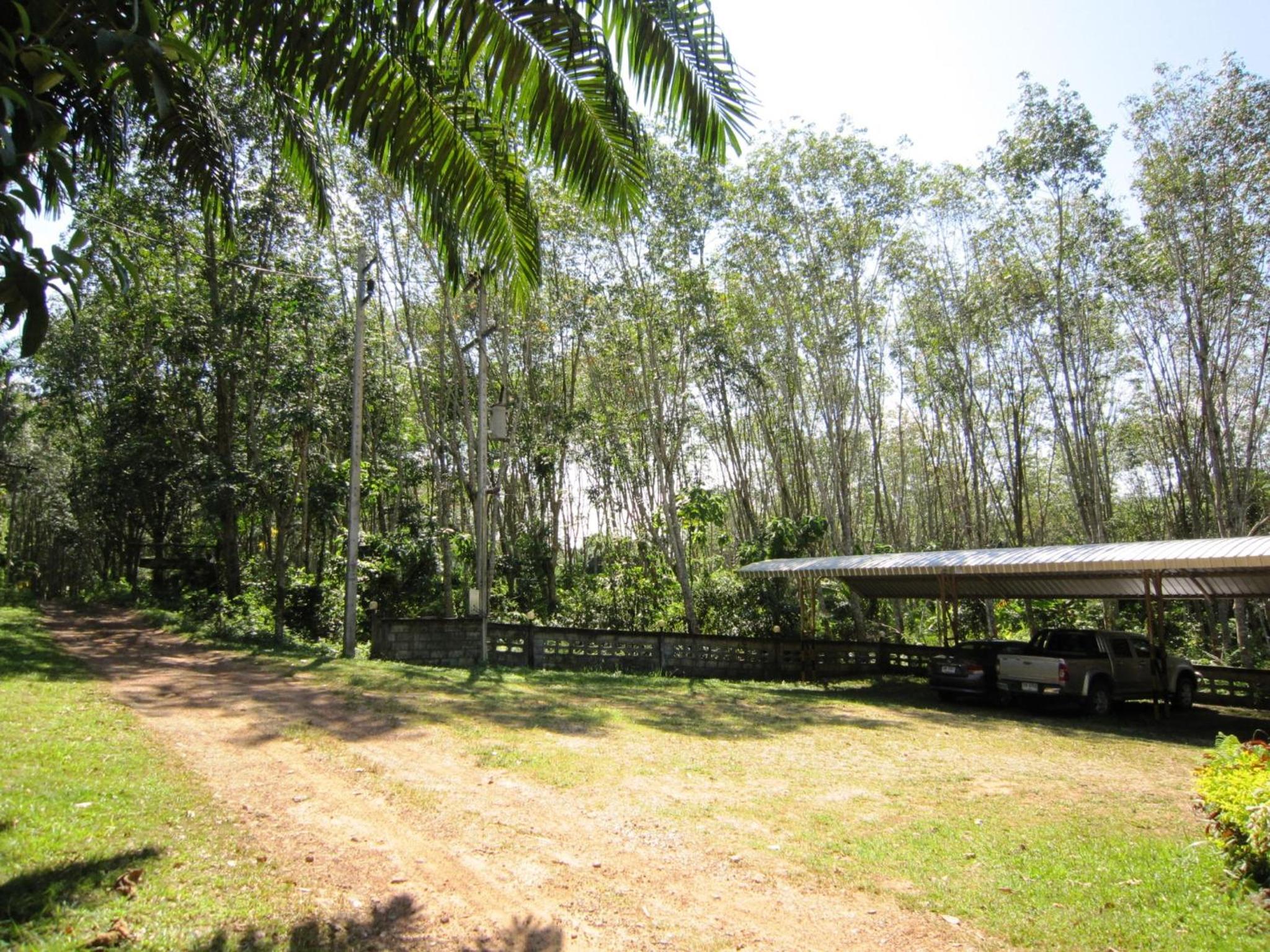 Phanom Bencha Mountain Resort