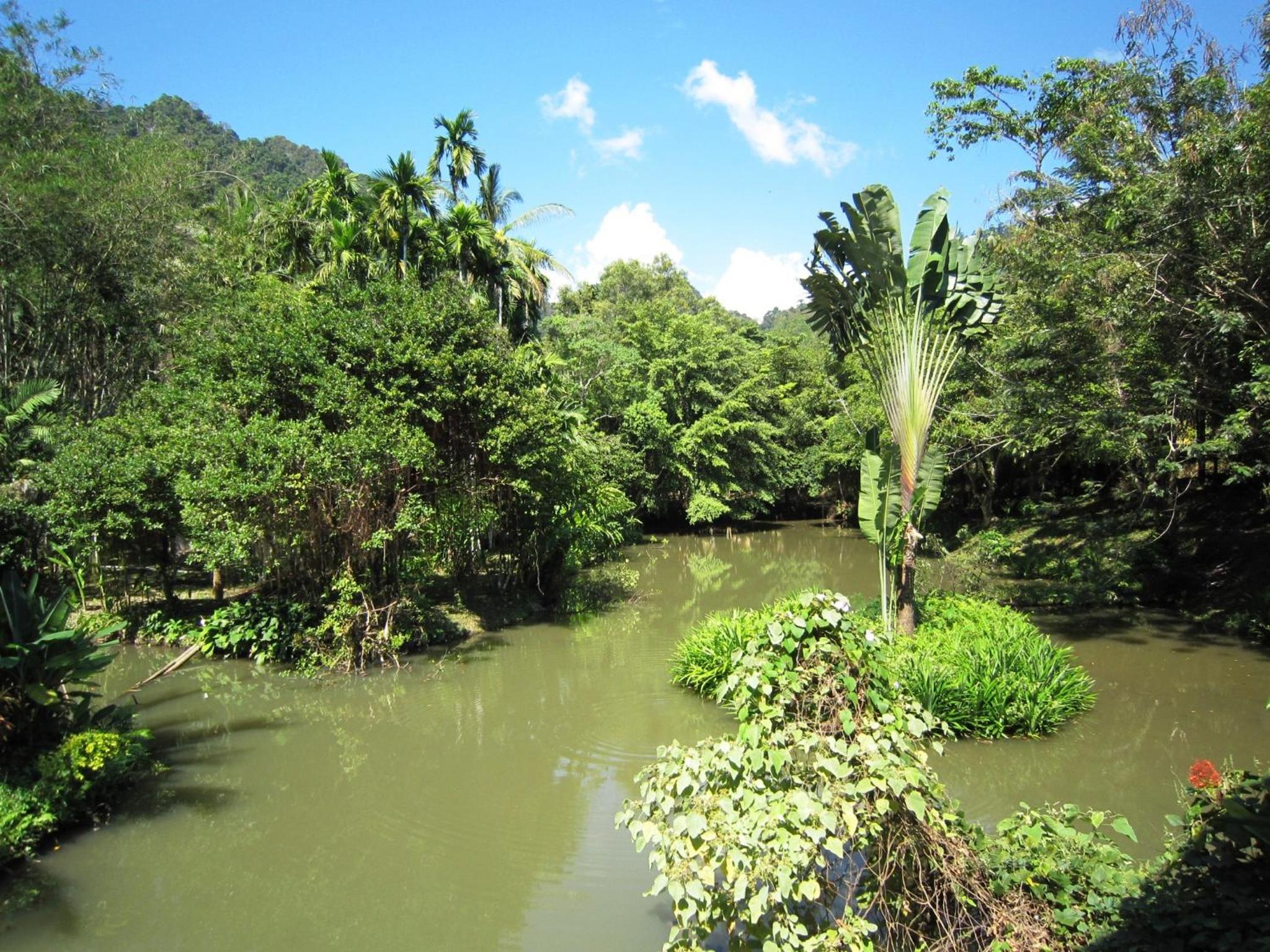 Phanom Bencha Mountain Resort