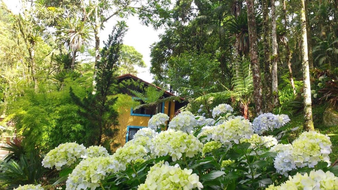 Havilá Arara Azul