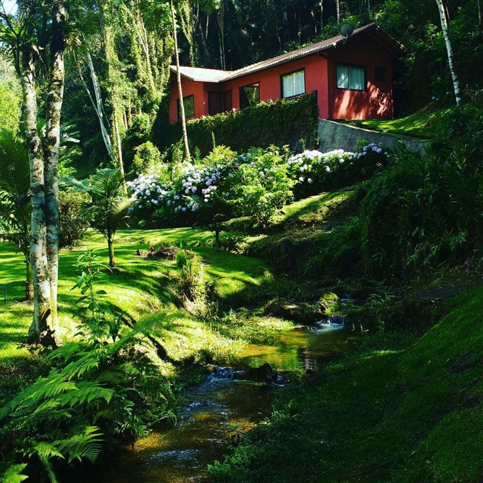 Havilá Arara Azul