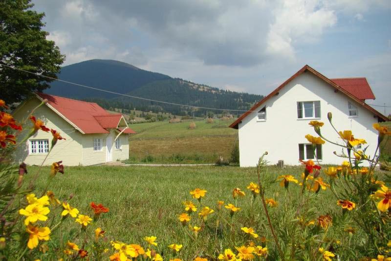 Casa Ana Vatra Dornei view 2