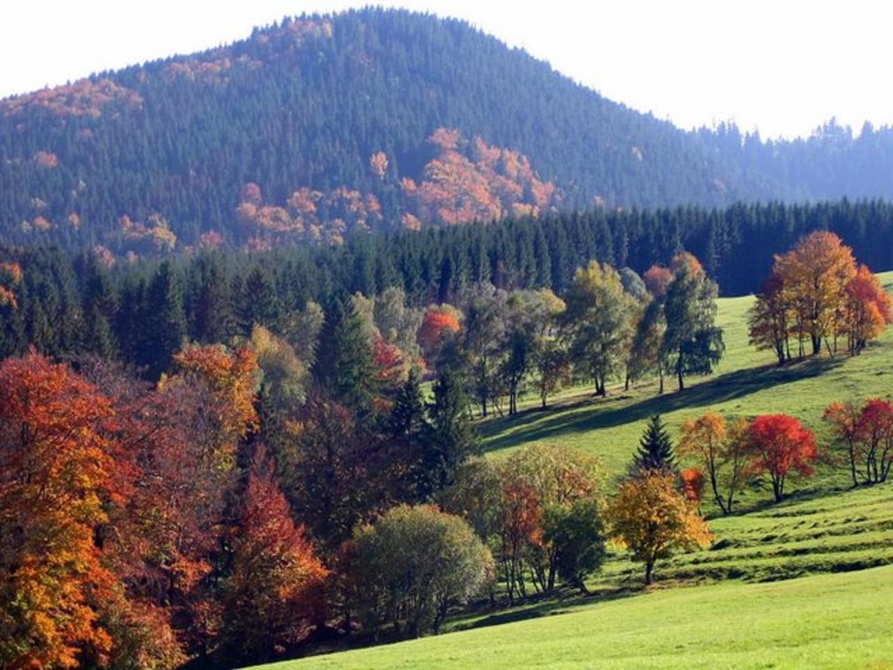 Pension Am Waldesrand