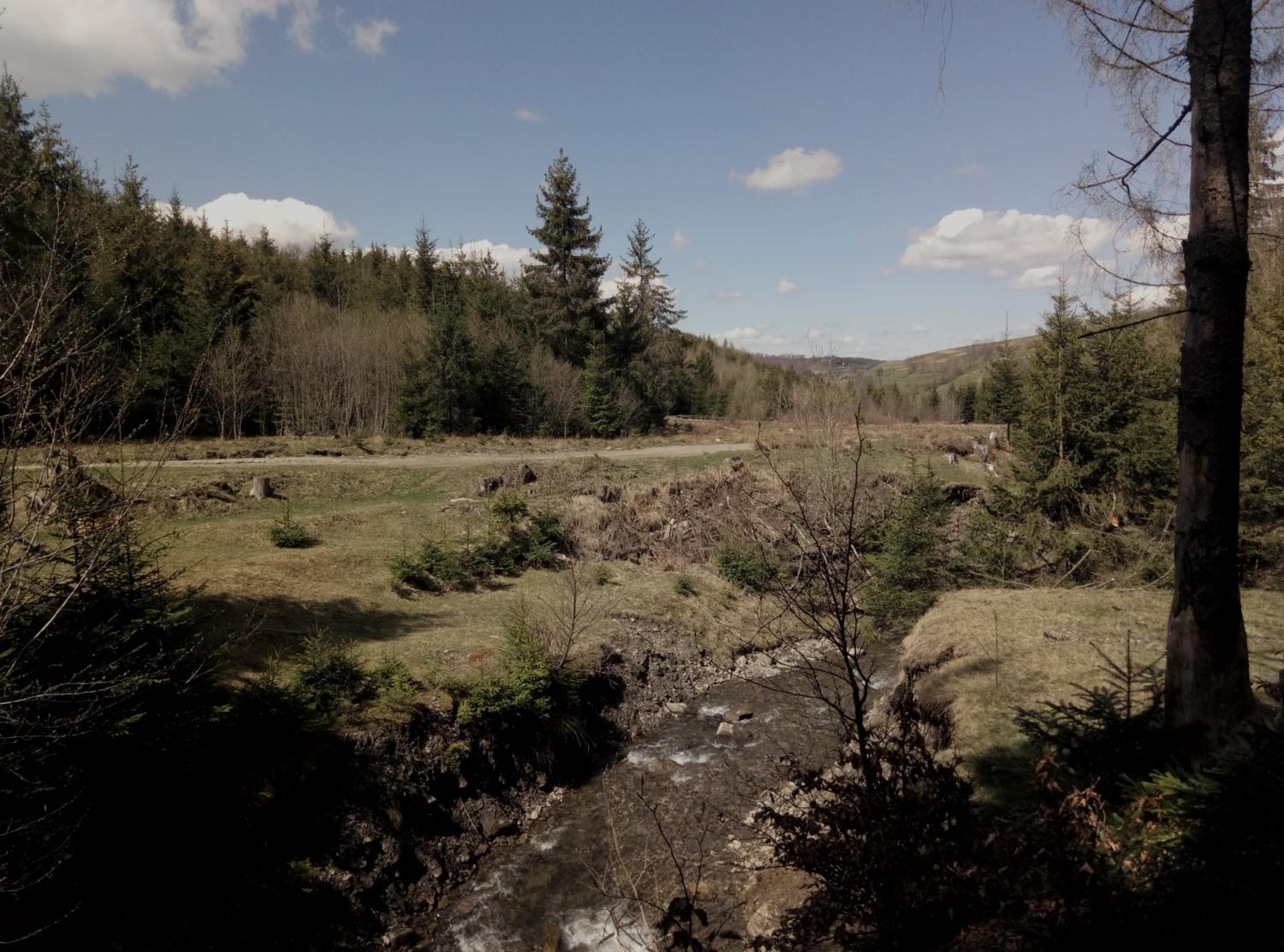 Photo 31