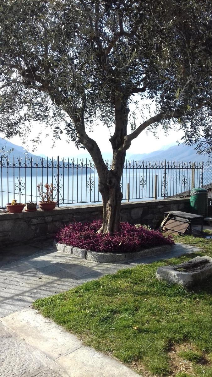 Casa Matilde photo 1
