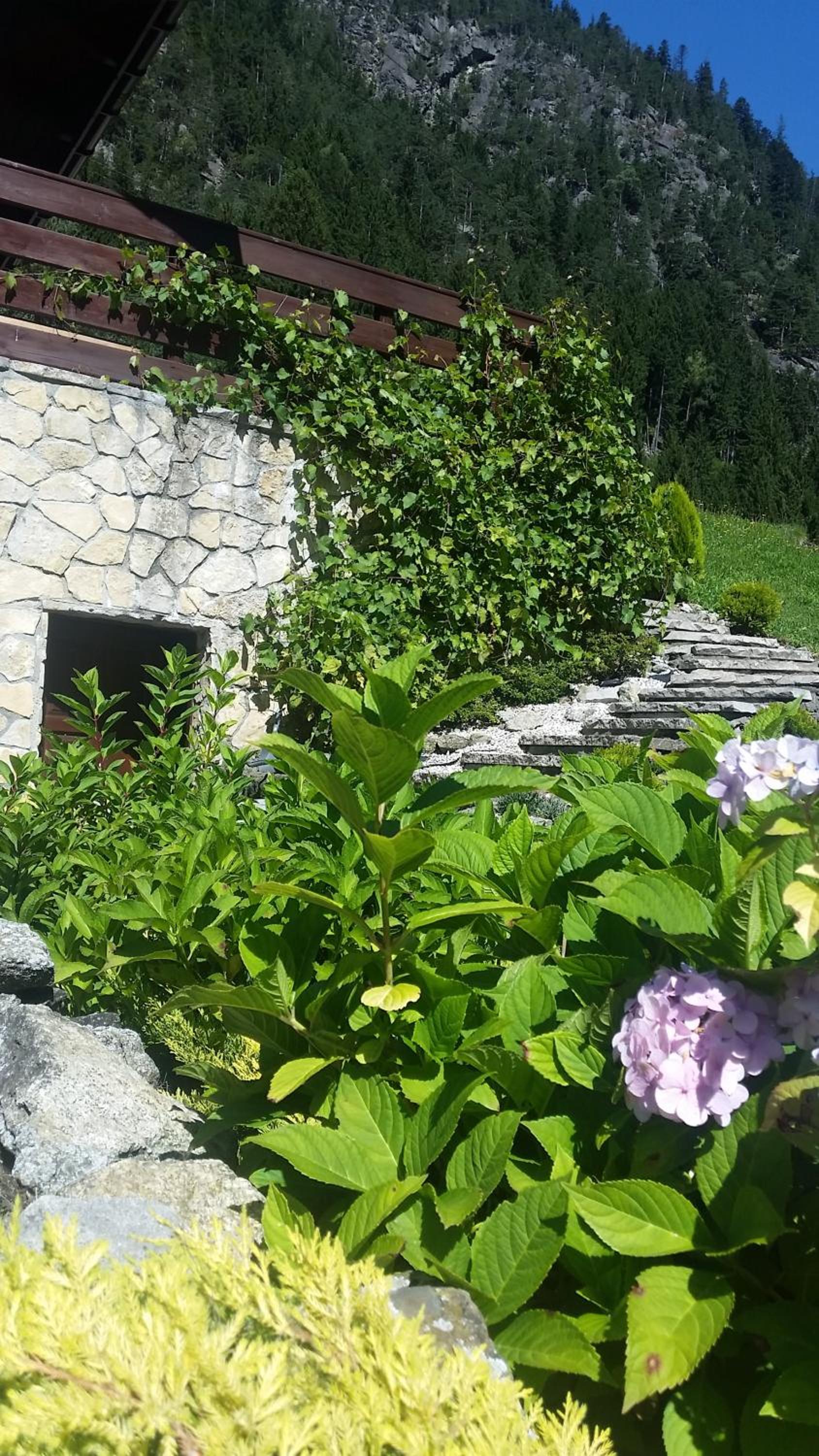 Photo 20