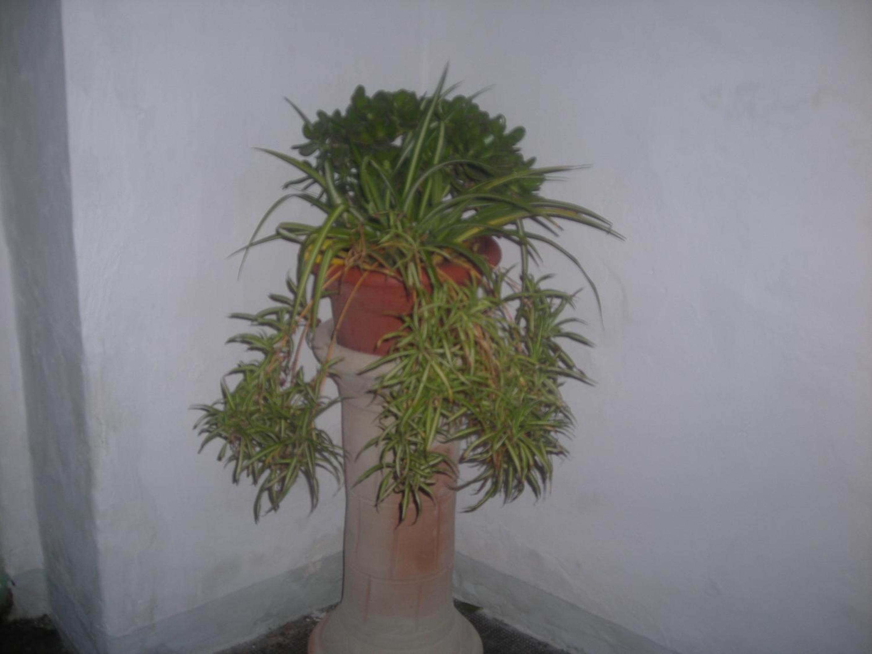 Photo 50