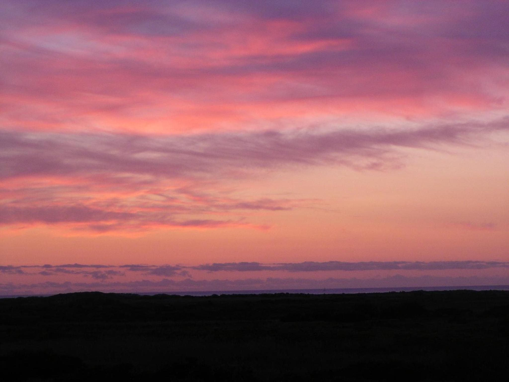 Horizon Cottages