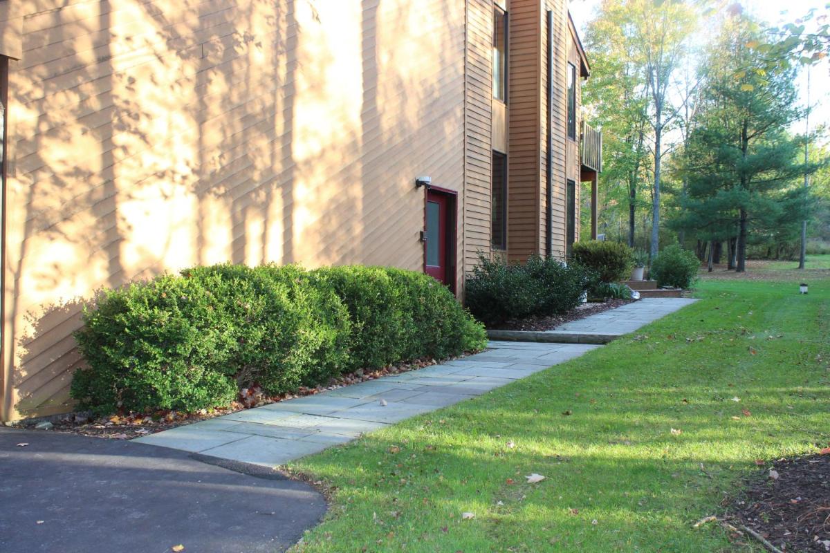 Attractive East Hill Apartment view 3