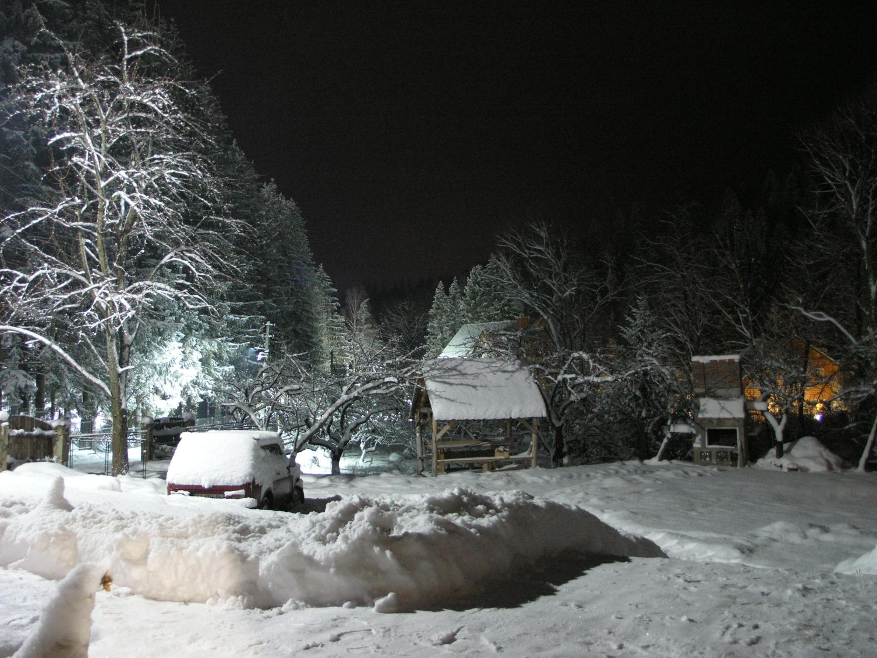 Arnika Tatariv view 5