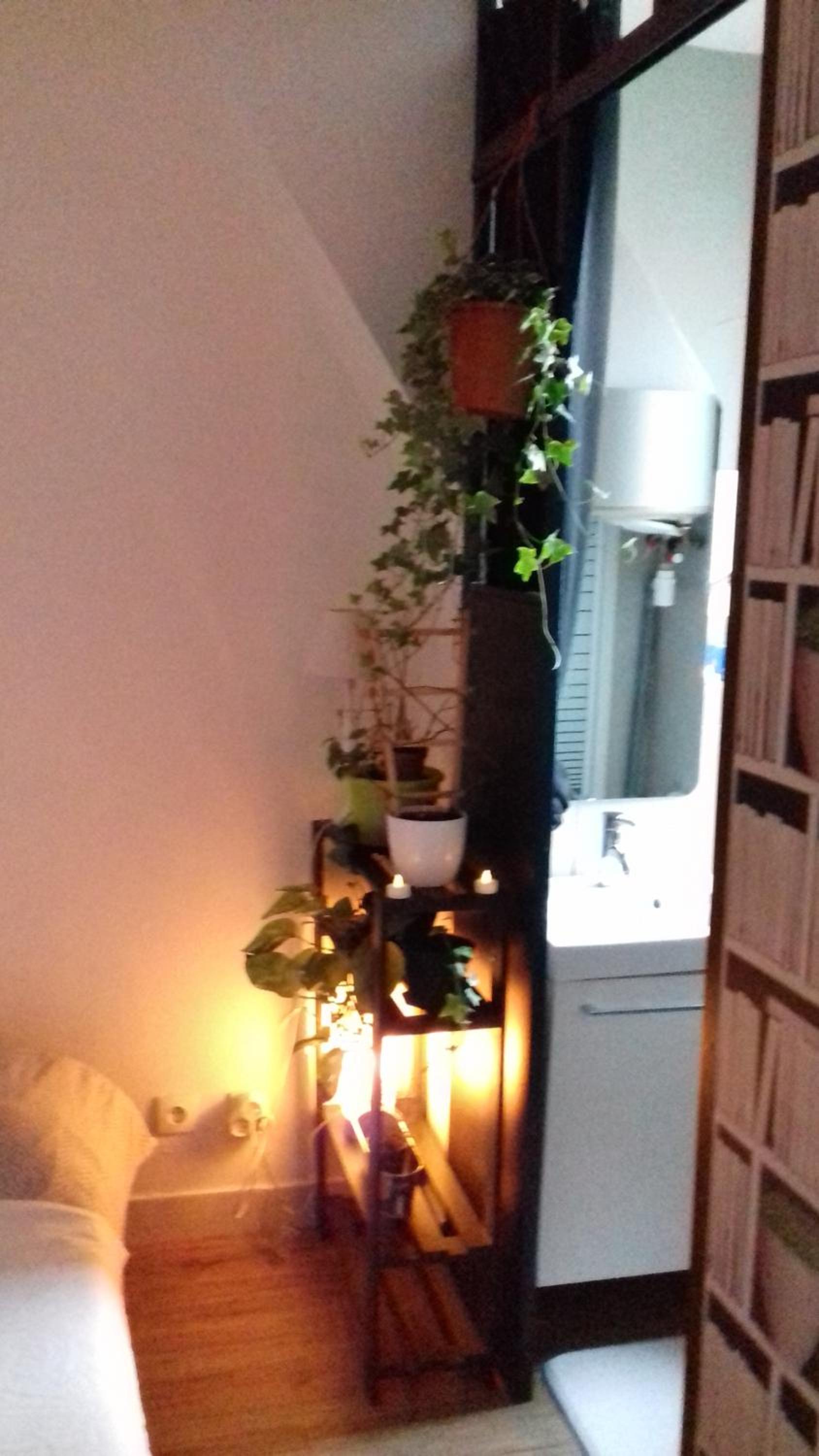 Studio Cosy