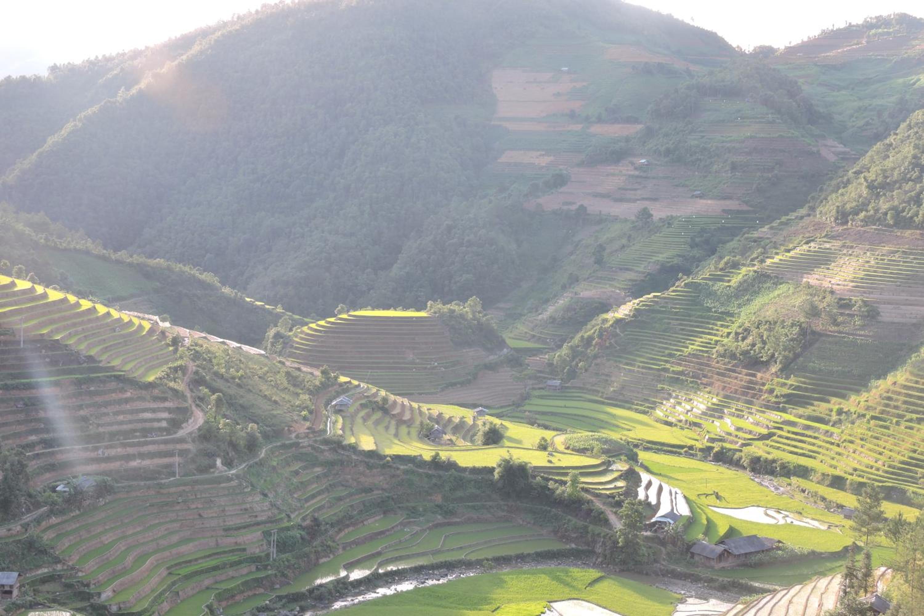 Hello Mu Cang Chai Homestay & Tours