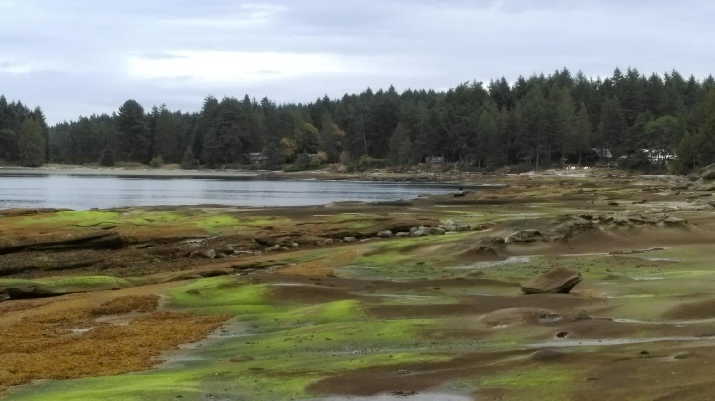 Gabriola Central B&B