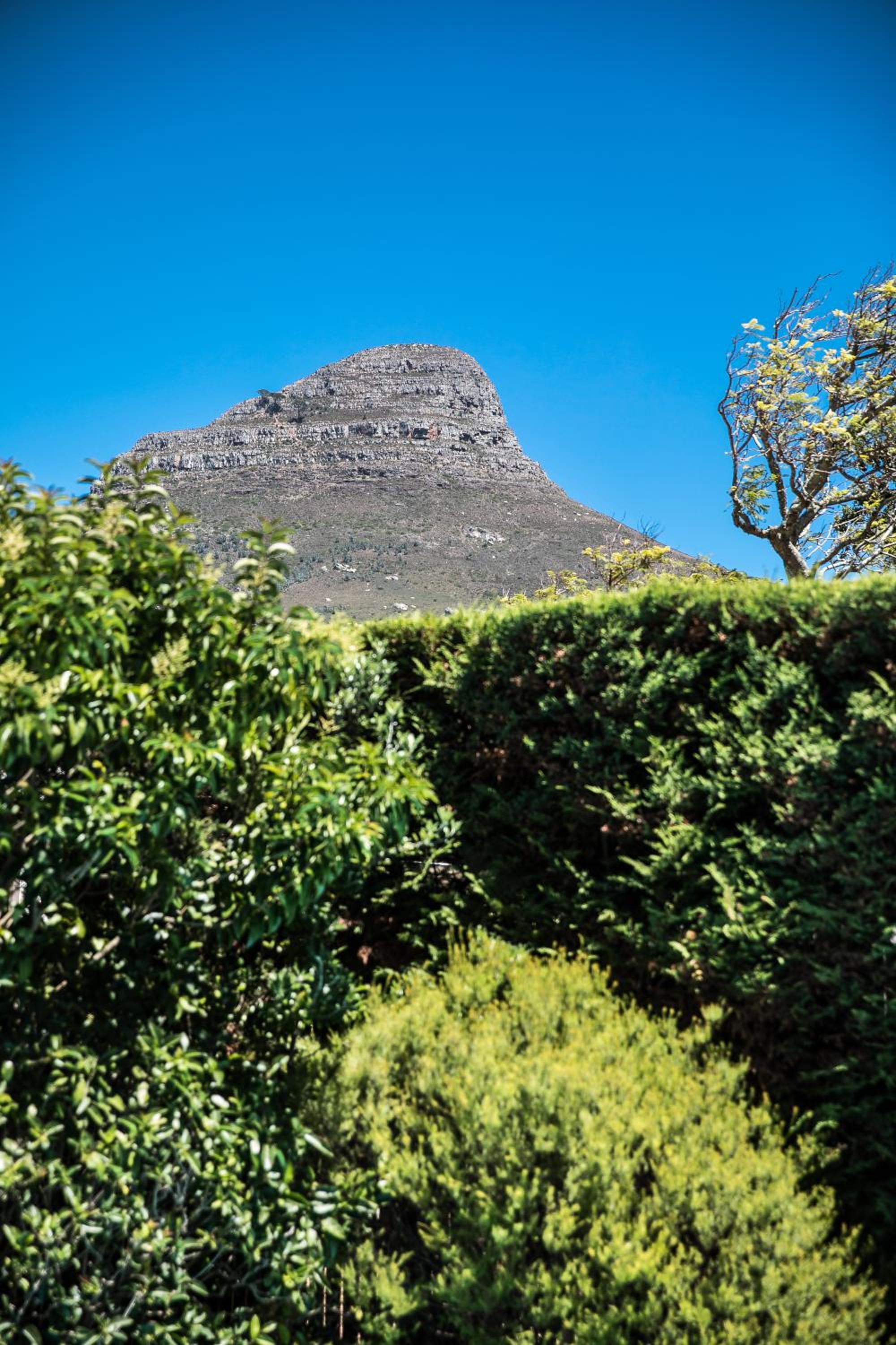 5 Camp Street Guesthouse & Self-catering